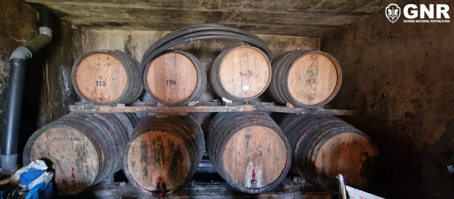 GNR apreende mais de 7 mil litros de vinho licoroso em Vila Real