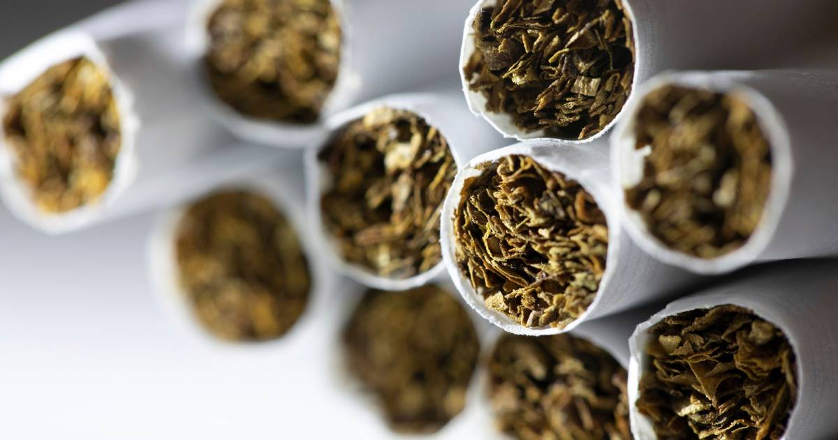 Apreendidos mais de 550 equipamentos elétricos falsificados e maços de tabaco na Amadora