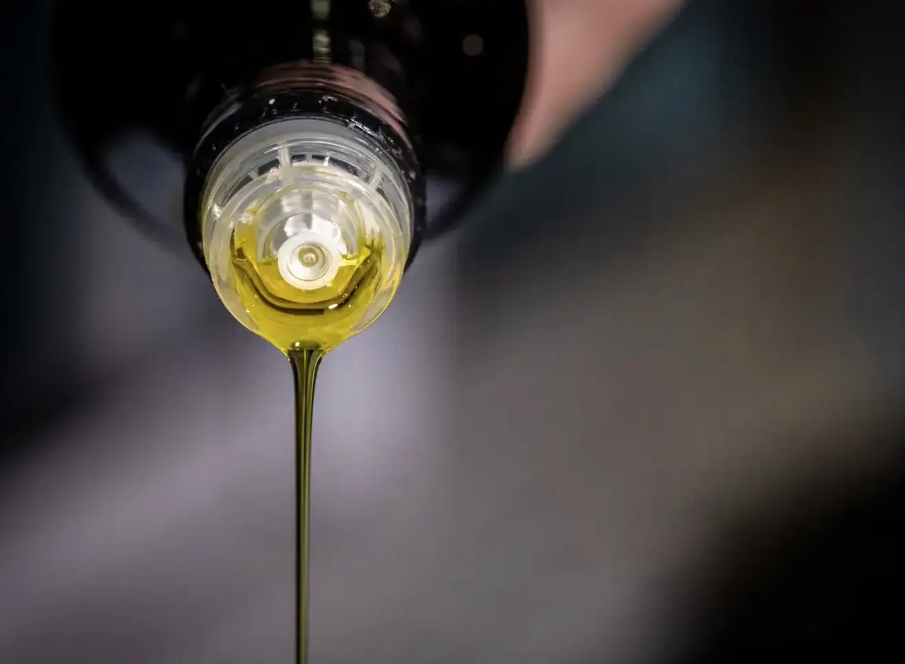 No ano passado produção de azeite teve segunda campanha mais produtiva de sempre