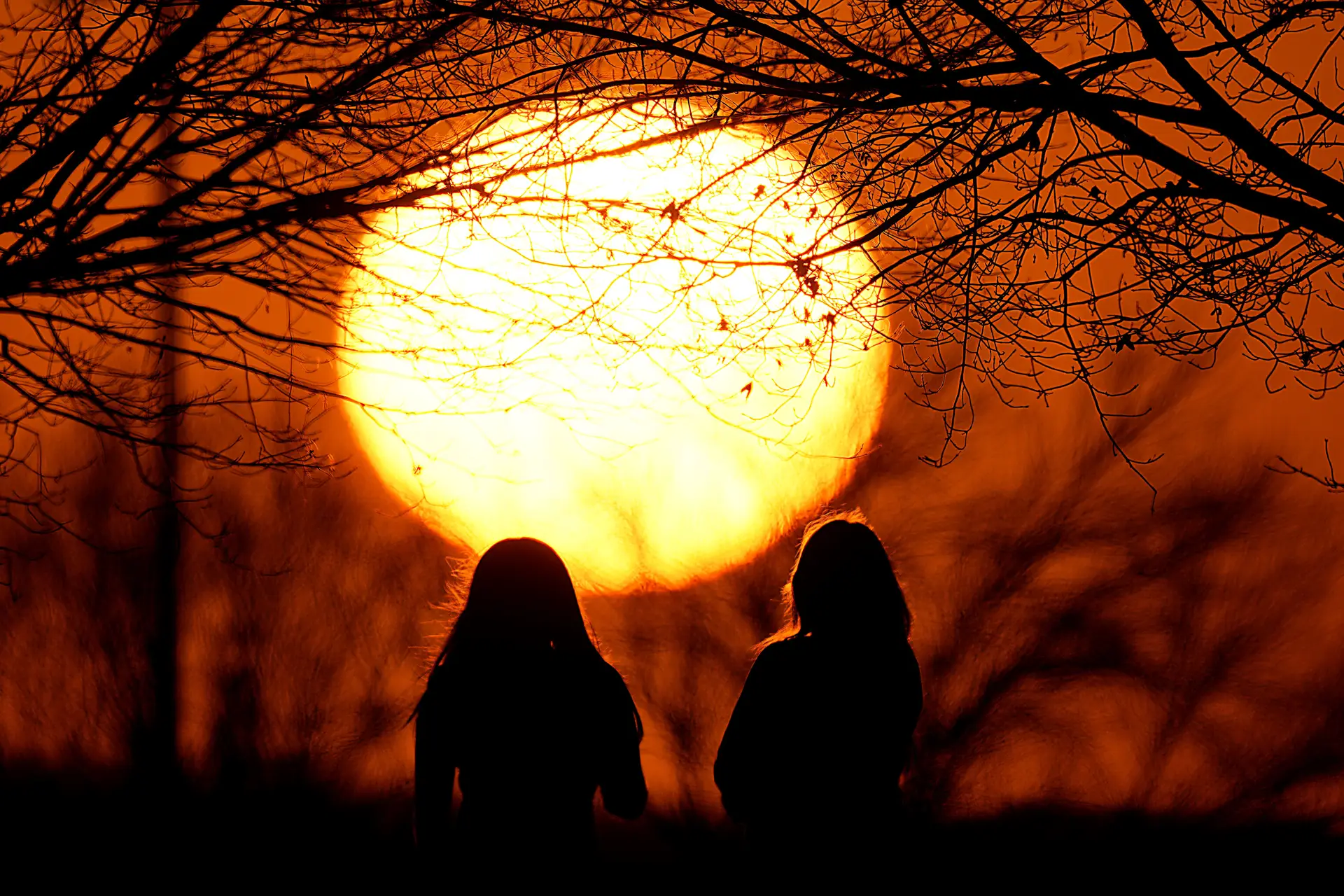 Alterações climáticas tornam ondas de calor em Portugal 40 vezes mais prováveis 