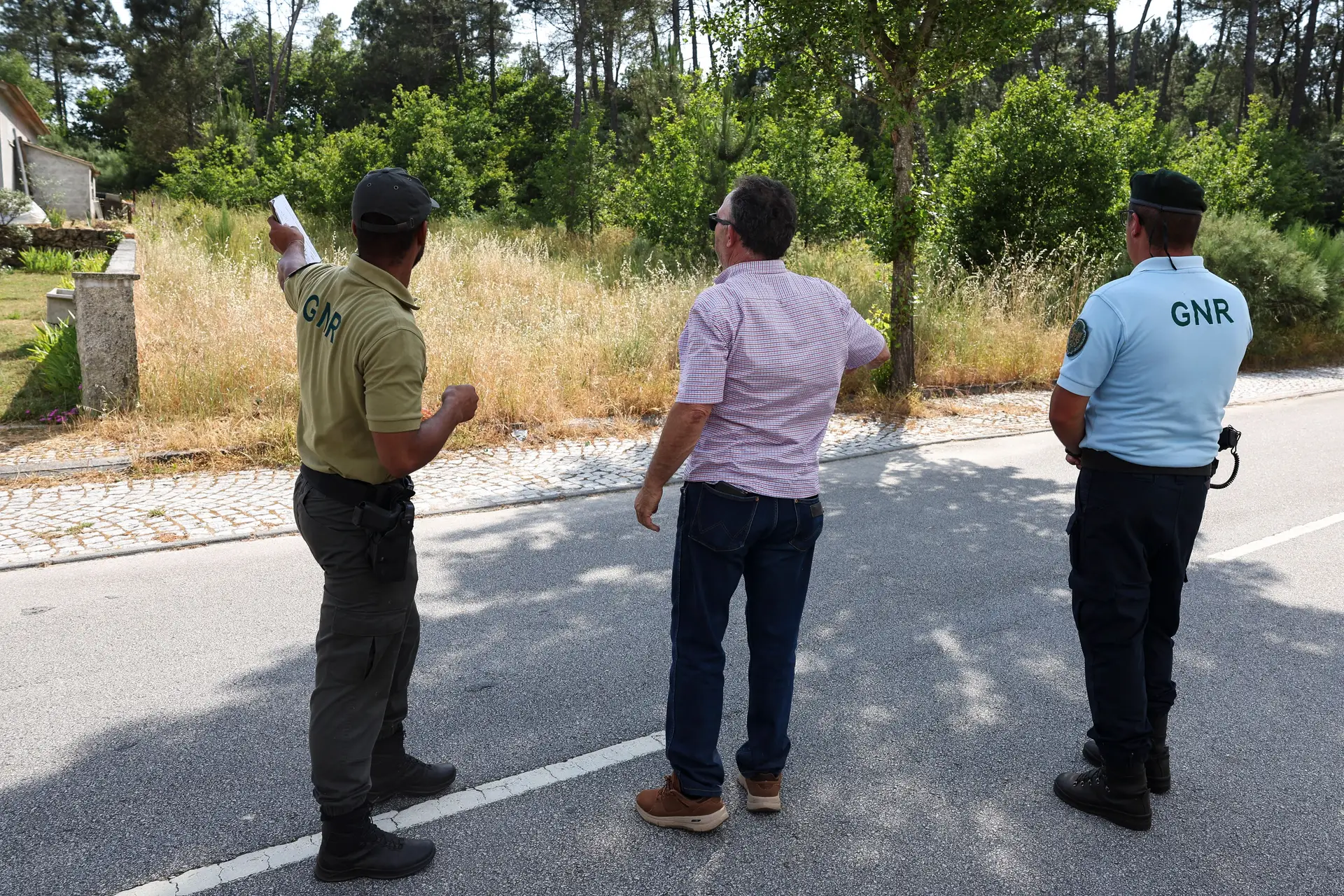 Incêndios: falta de meios e de mão-de-obra dificulta limpeza na proteção da floresta