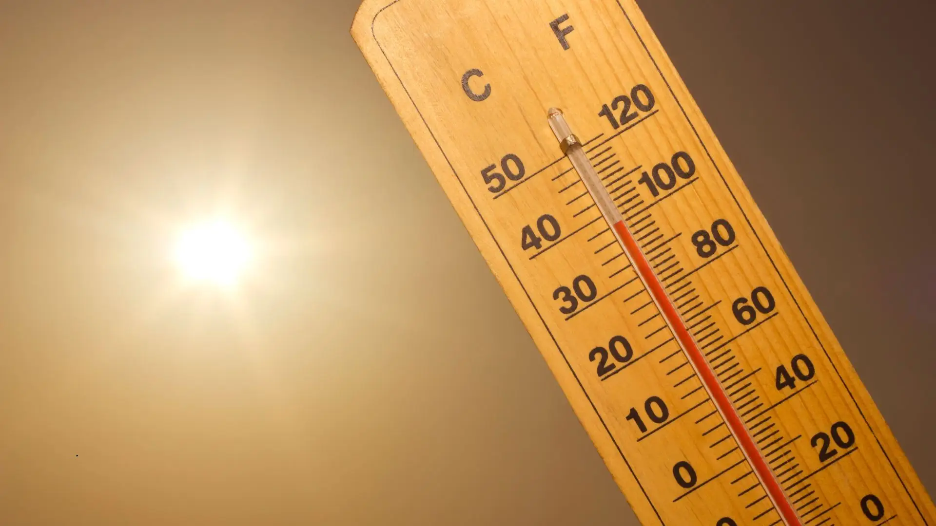 Tempo quente com máximas de 40ºC deixa 12 distritos sob aviso amarelo