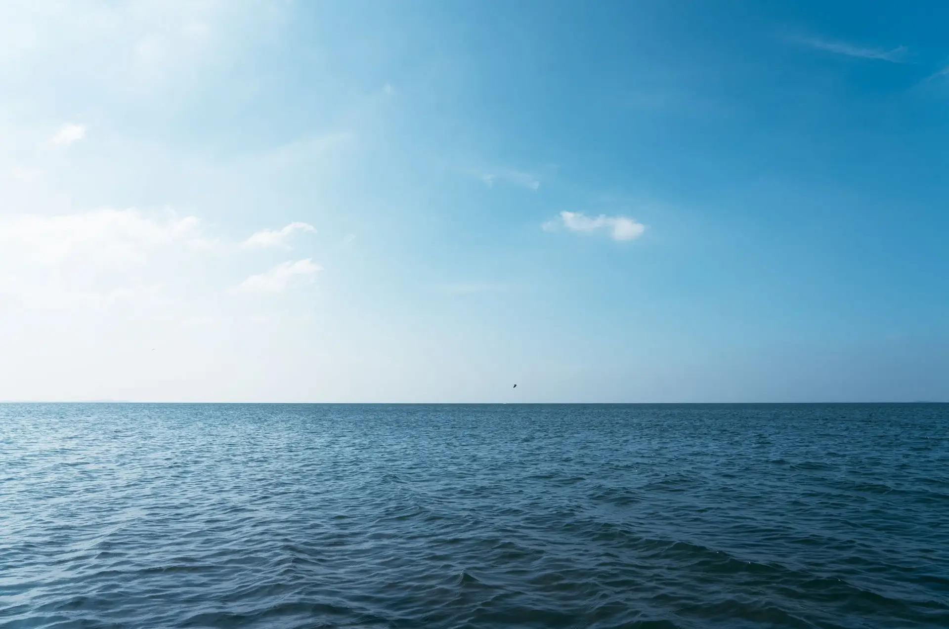 Homem morre em prova de natação em Cascais