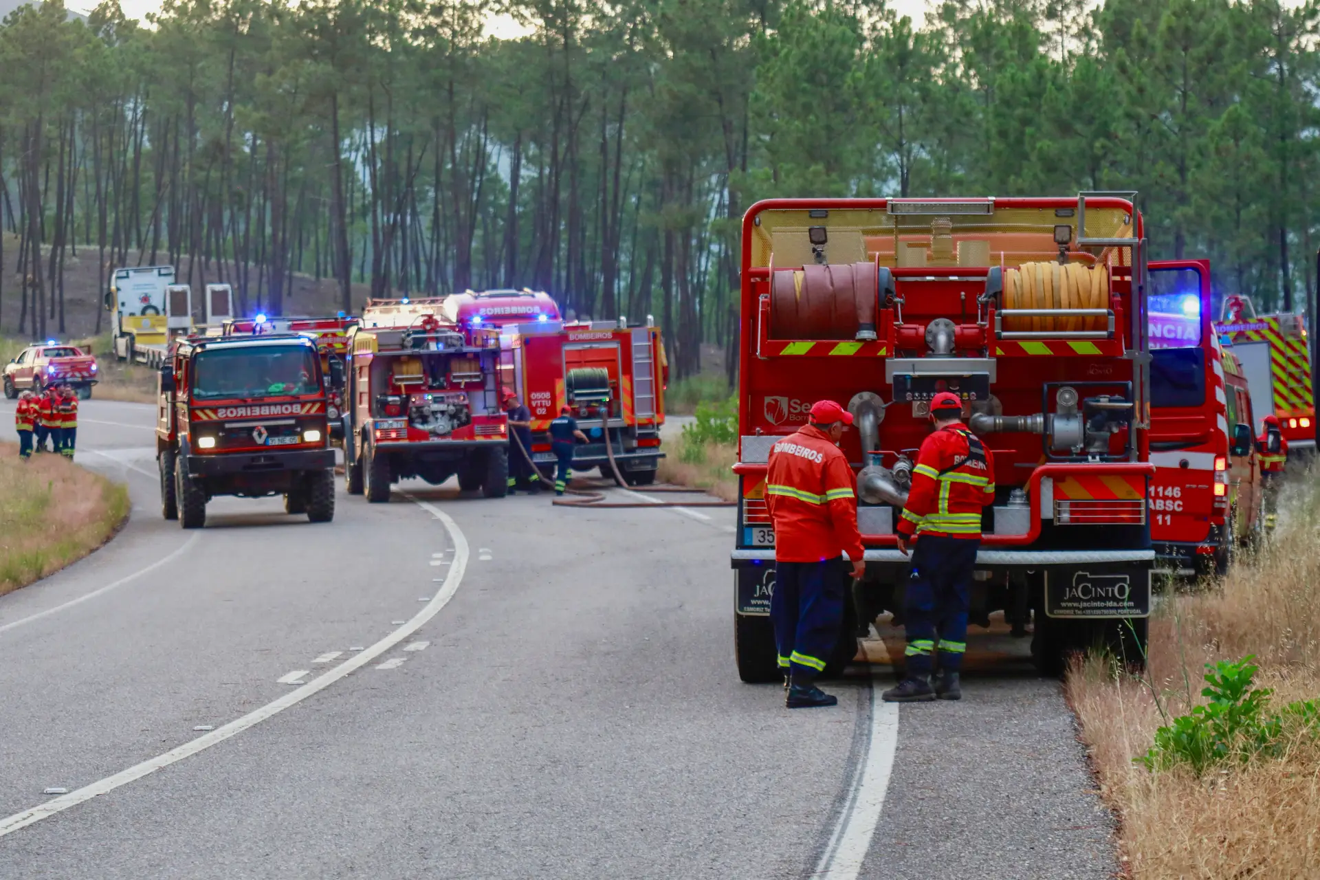Incêndio numa zona florestal de Castelo Branco "continua ativo"