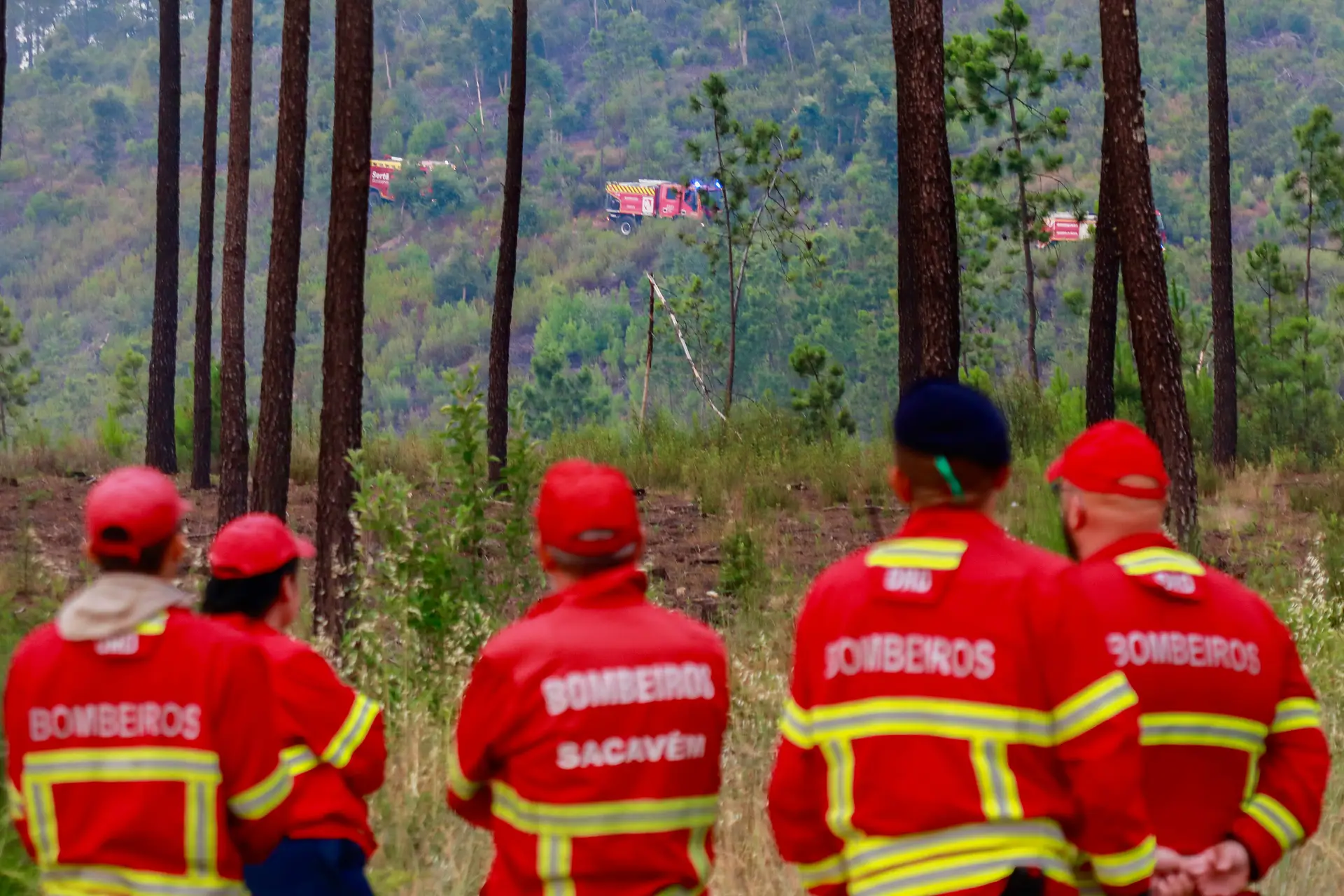 Fogo em Ponte de Lima dominado e em resolução