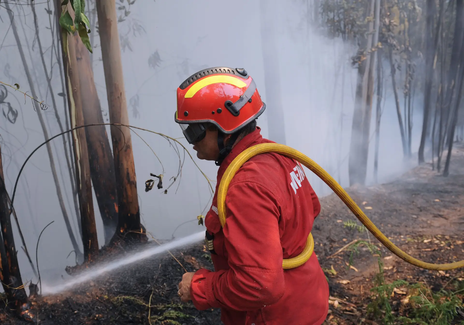 Sexagenário detido por suspeita de fogo em Baião