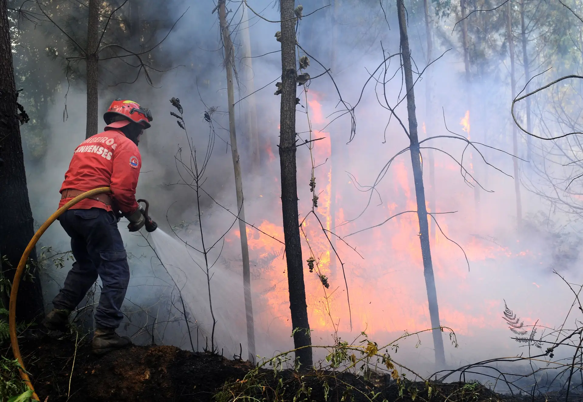 Mais de 70 operacionais e sete meios aéreos combatem incêndio em Alandroal