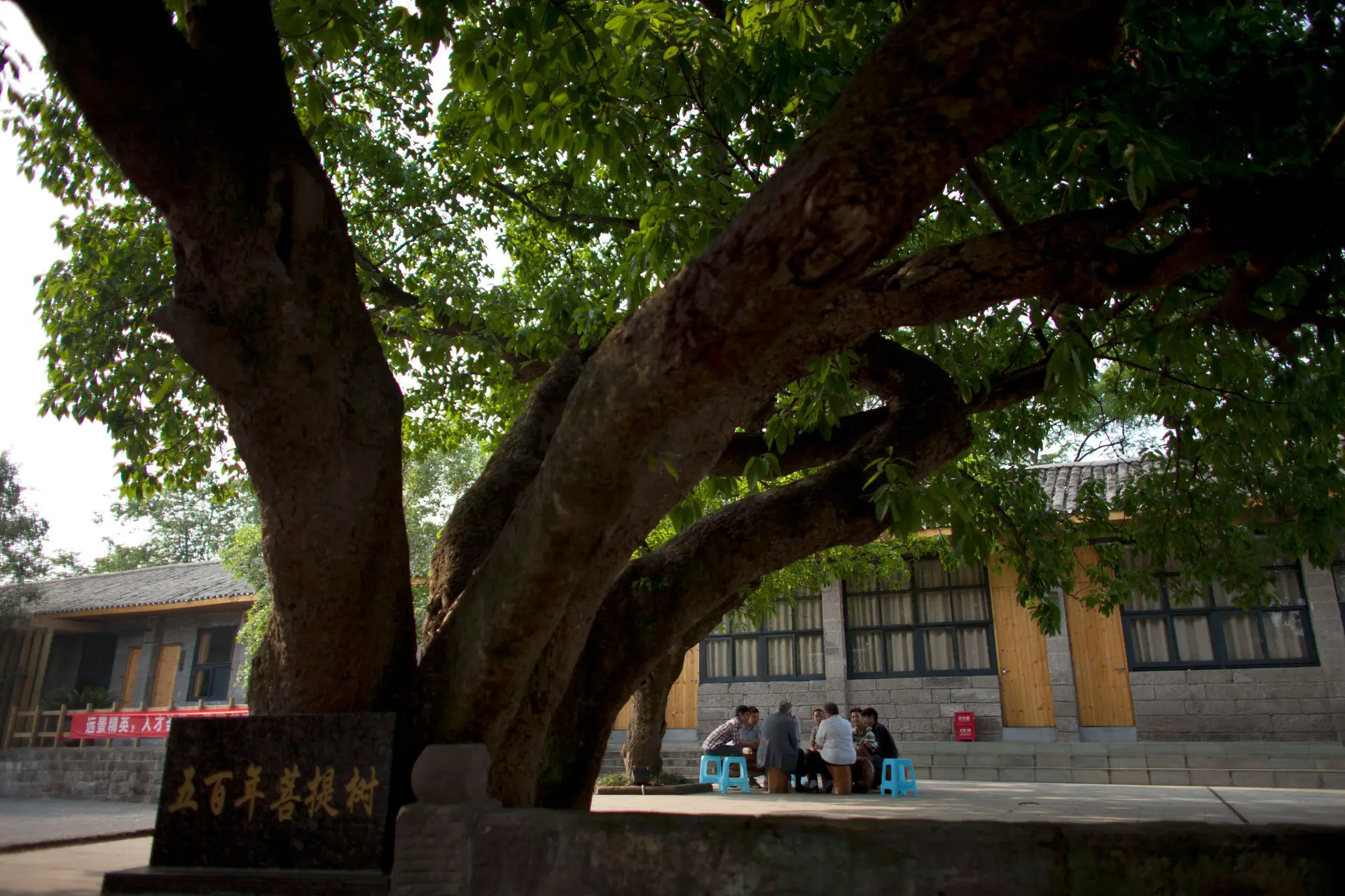 "Interacciones incorrectas": Estudiante expulsado de la Universidad China con un estudiante amoroso con un extranjero