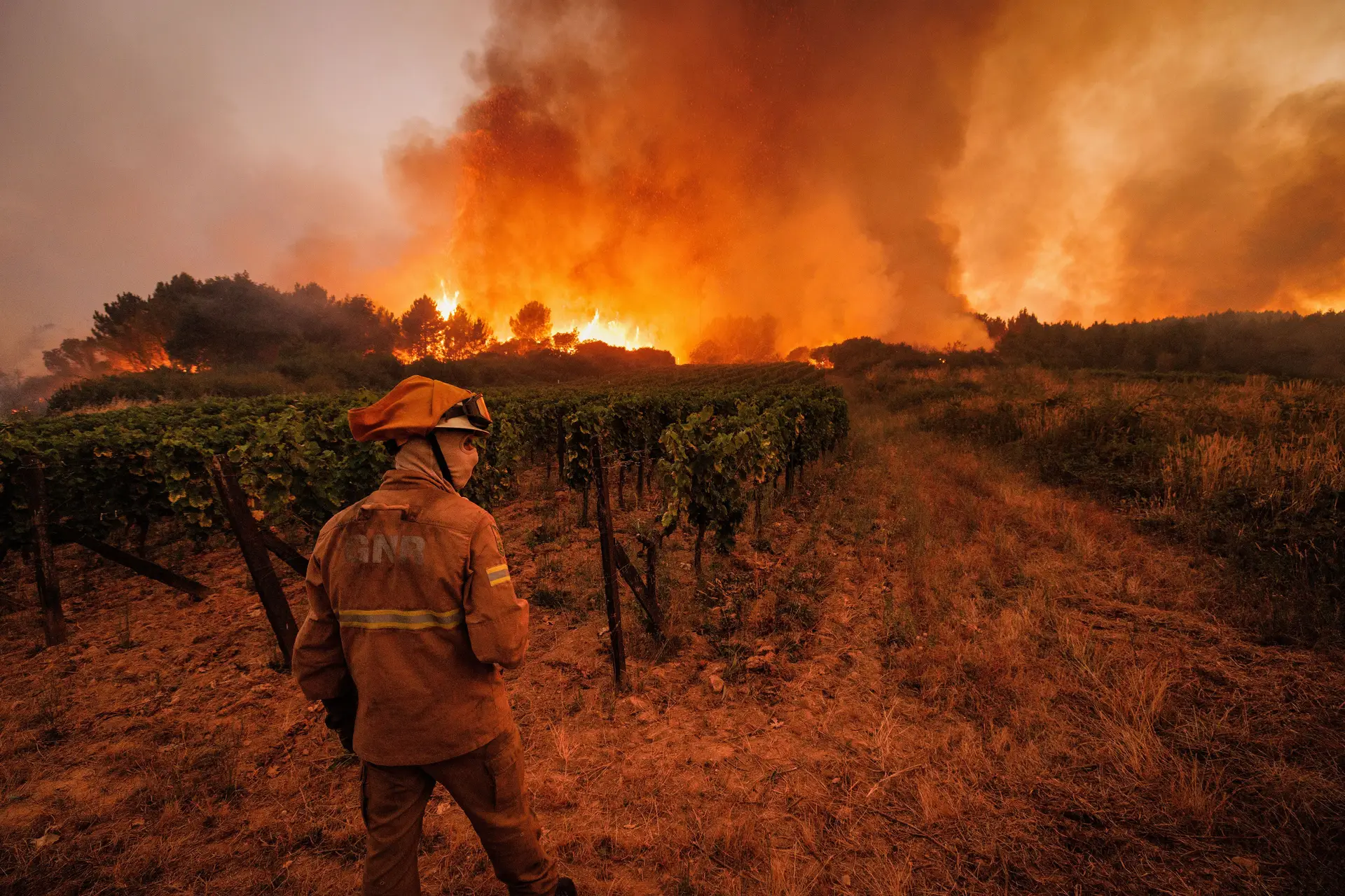 Há três concelhos em perigo máximo de incêndio e risco vai aumentar, avisa IPMA