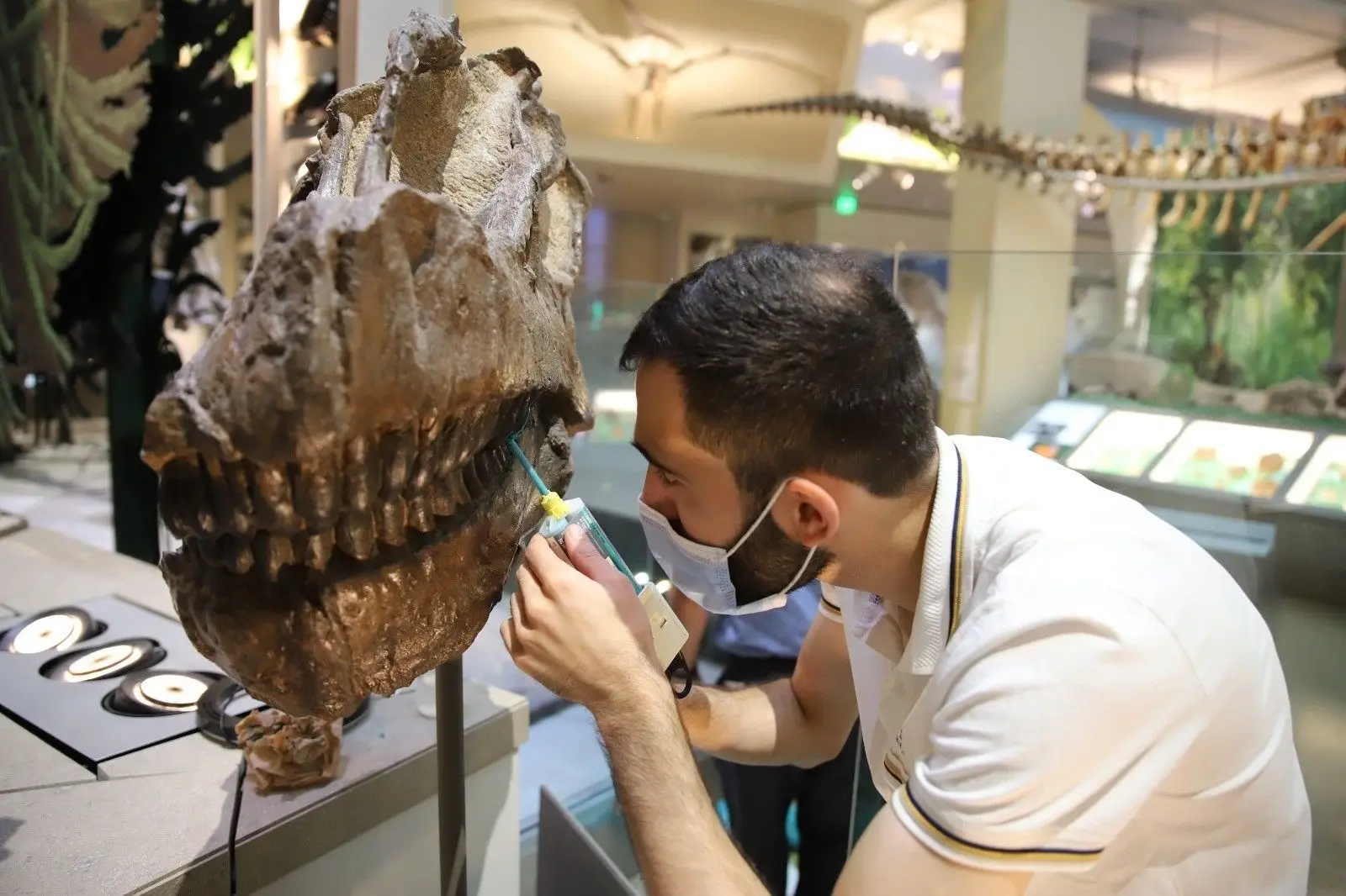 André Saleiro, investigador da Faculdade de Ciências e Tecnologia da Universidade NOVA de Lisboa e do Museu da Lourinhã