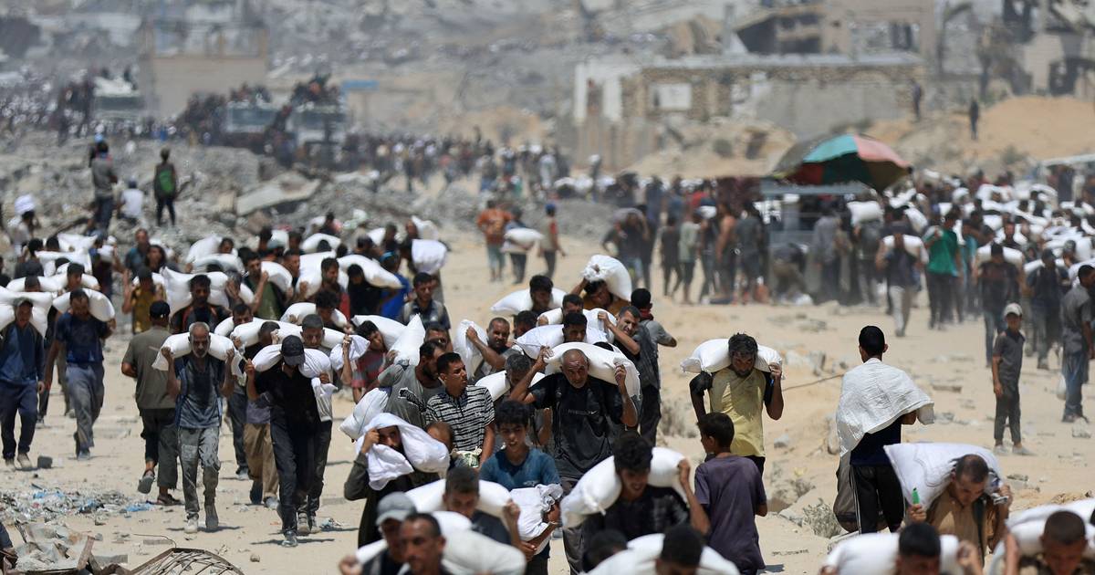 "As pessoas estão a ser abatidas como animais" em Gaza