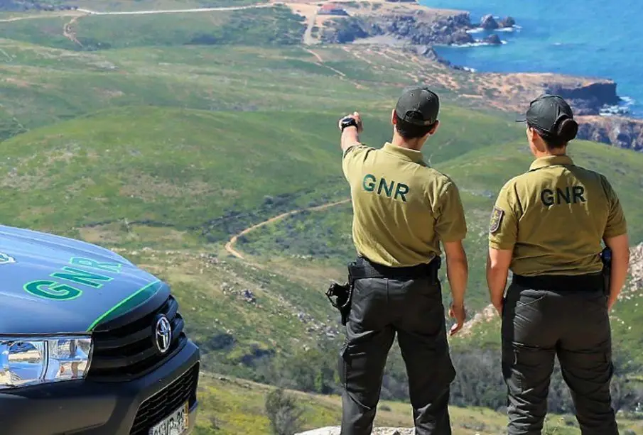 Serviço de Proteção da Natureza da GNR registou 606 crimes nos primeiros seis meses