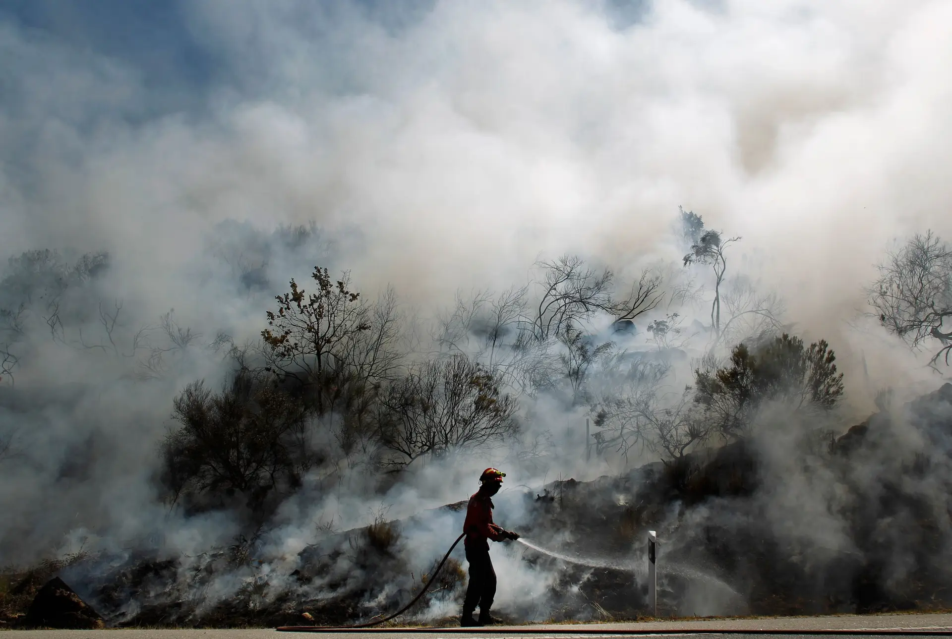 Centenas de bombeiros combatem fogo em Magualde  