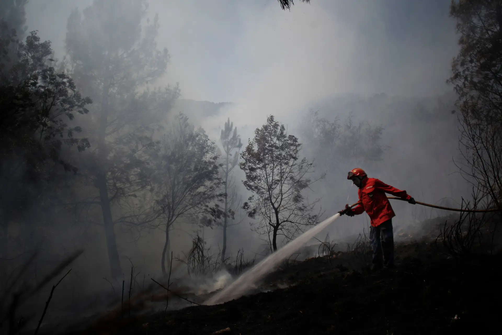 Centenas de bombeiros combatem incêndio em Penamacor 