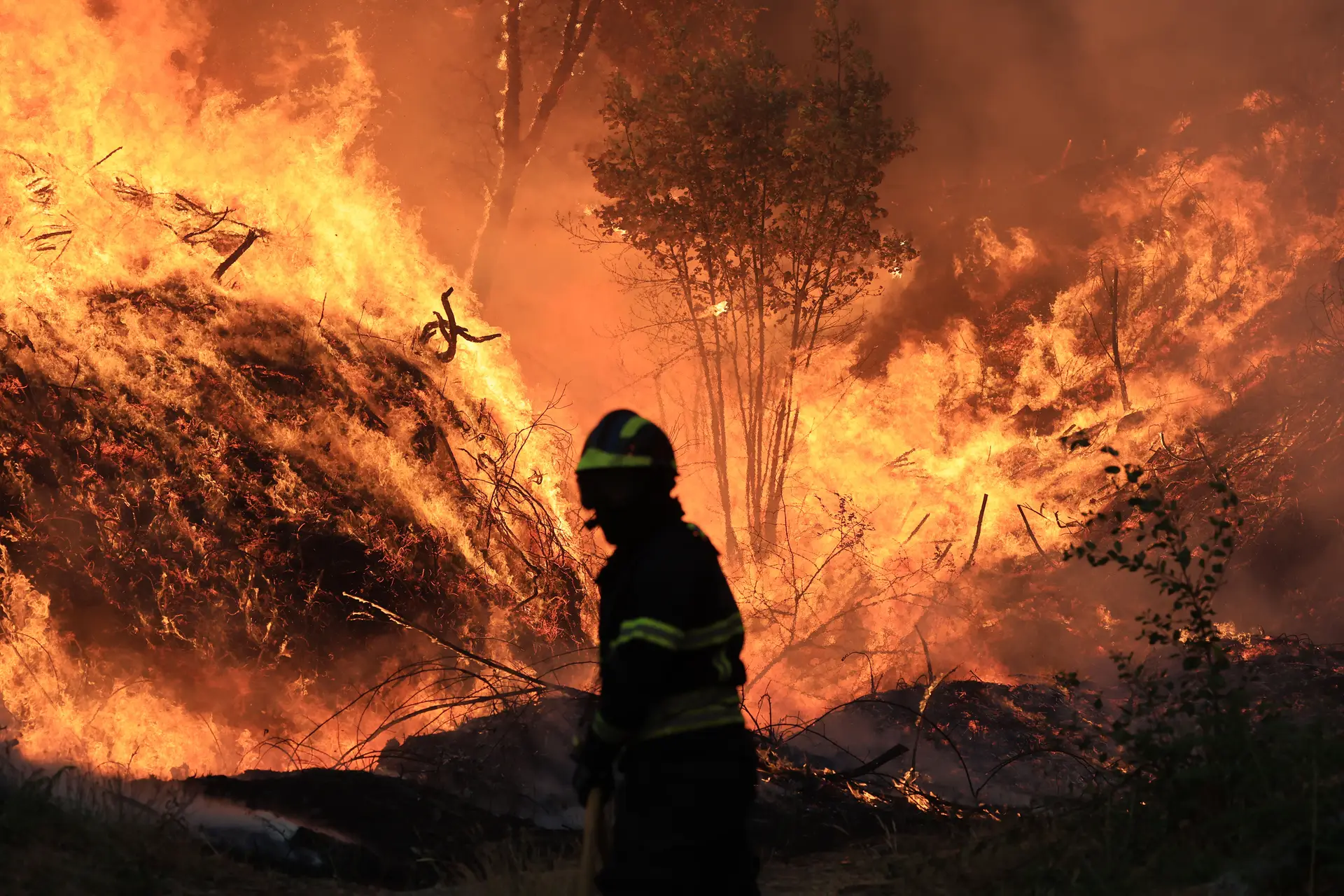 Incêndio de Arouca 29 de julho de 2025