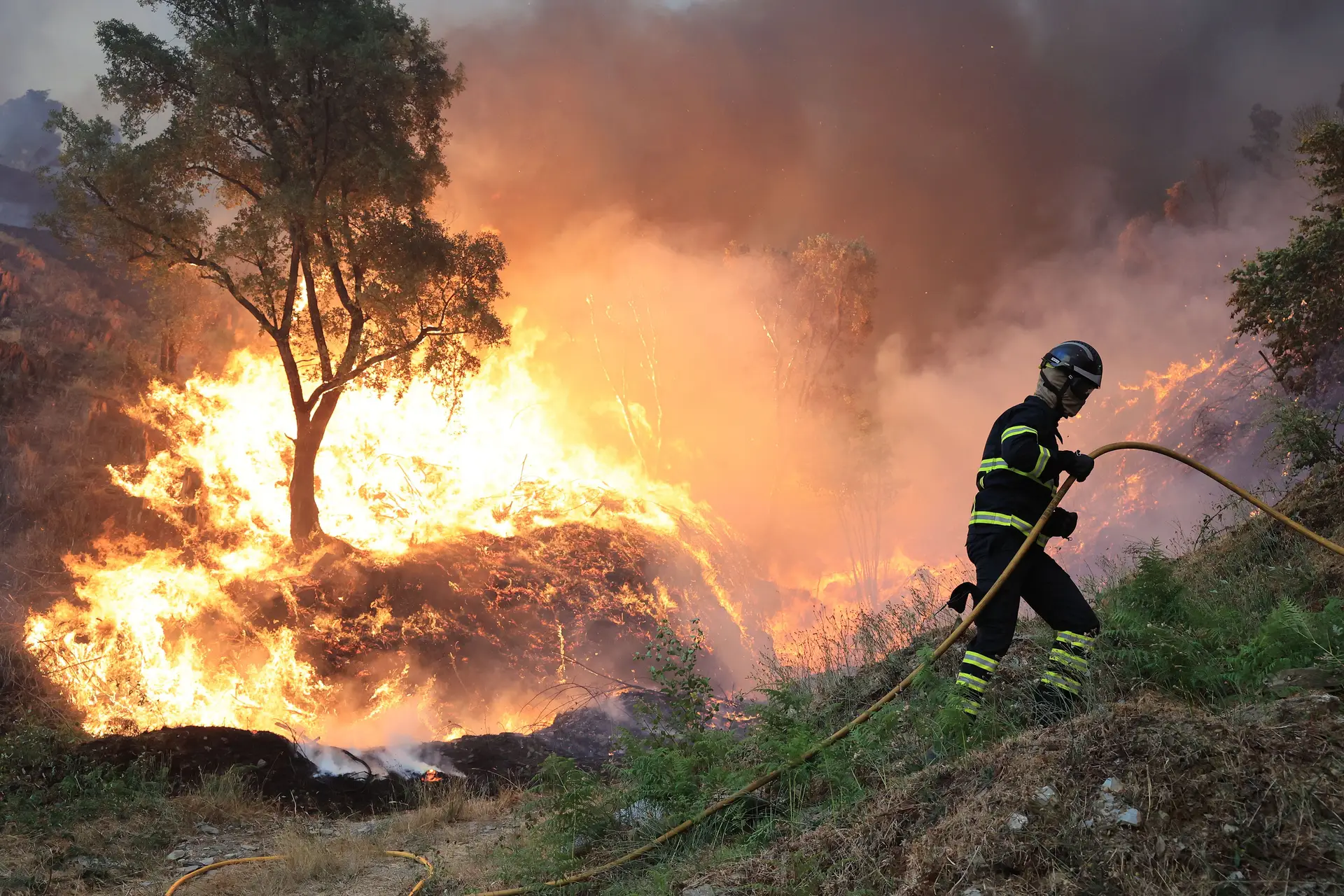 JPP entende que Governo Regional da Madeira deve enviar bombeiros para o continente