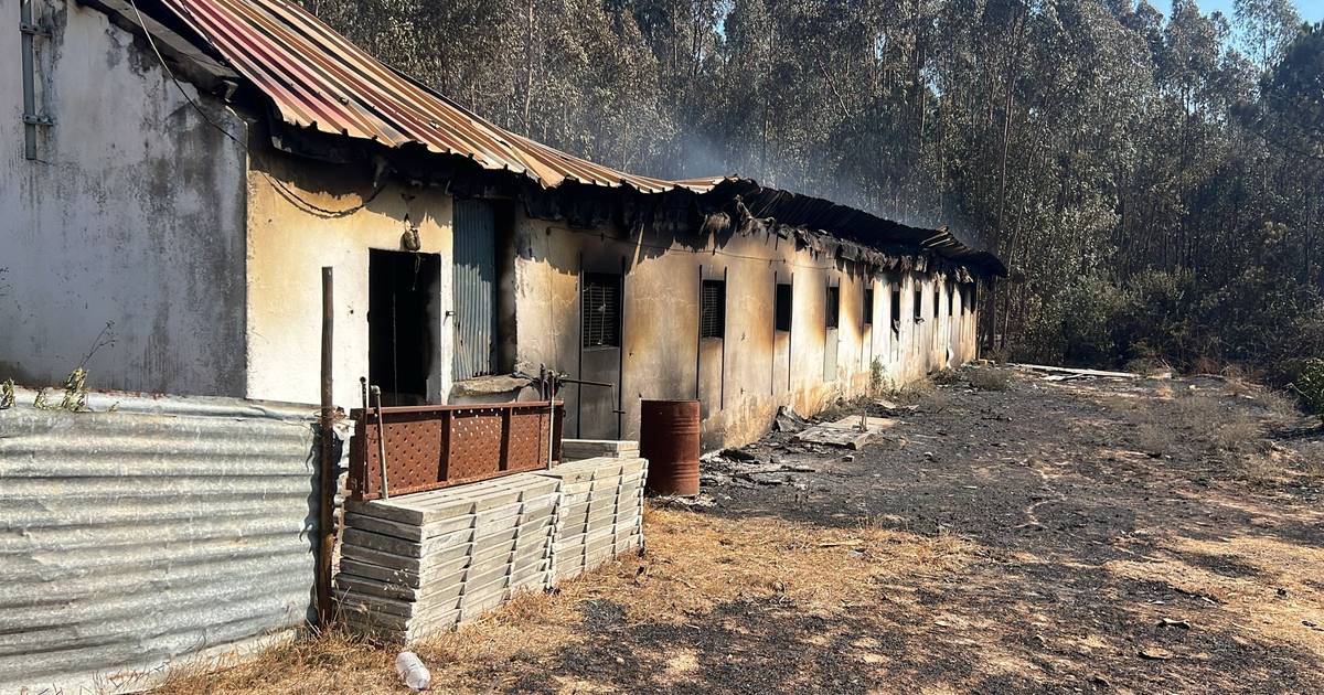 Seis meses depois dos incêndios, mais de metade dos apoios continuam por pagar