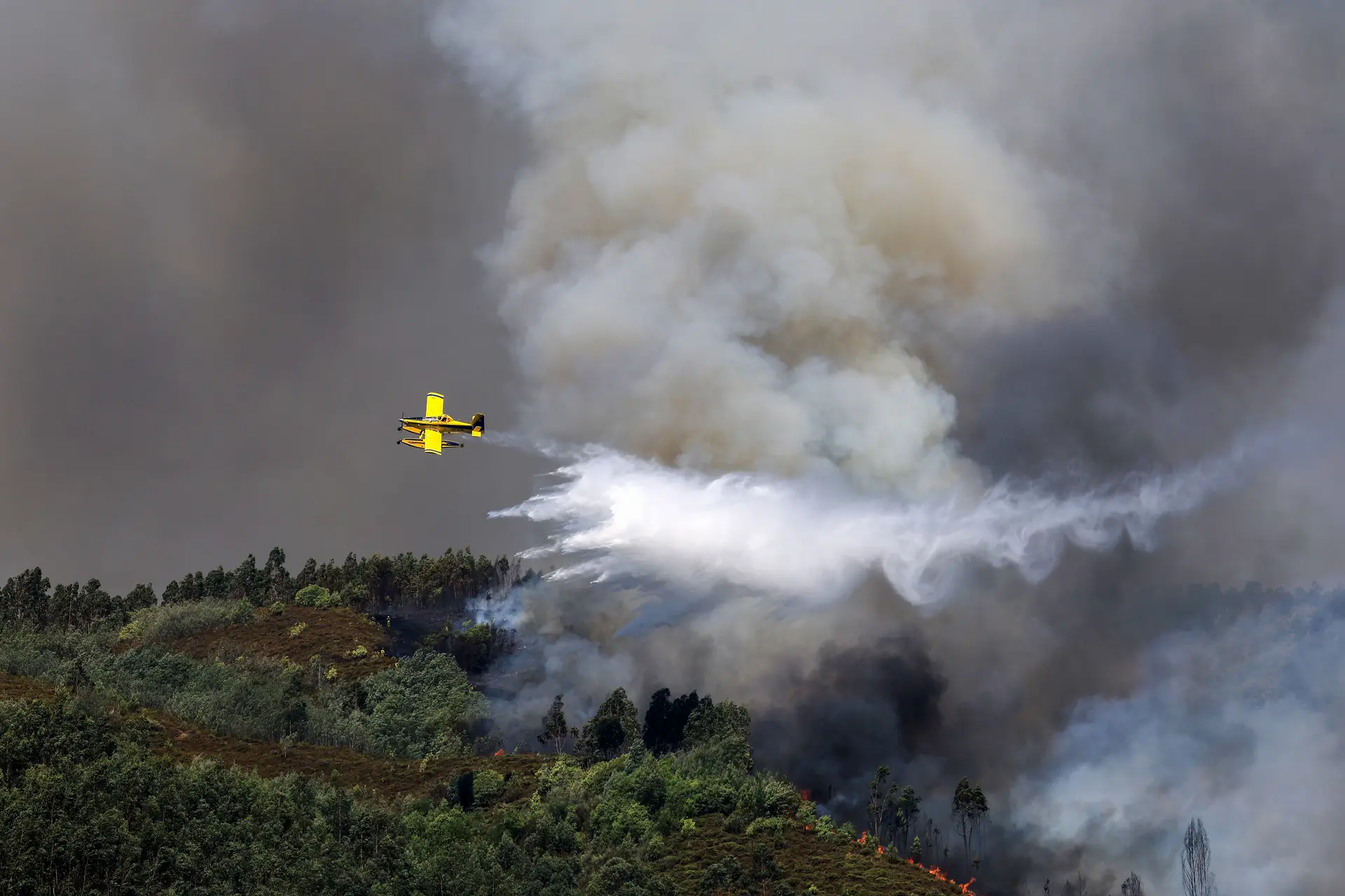 Aviões Canadair disponíveis em Portugal estão fora de serviço