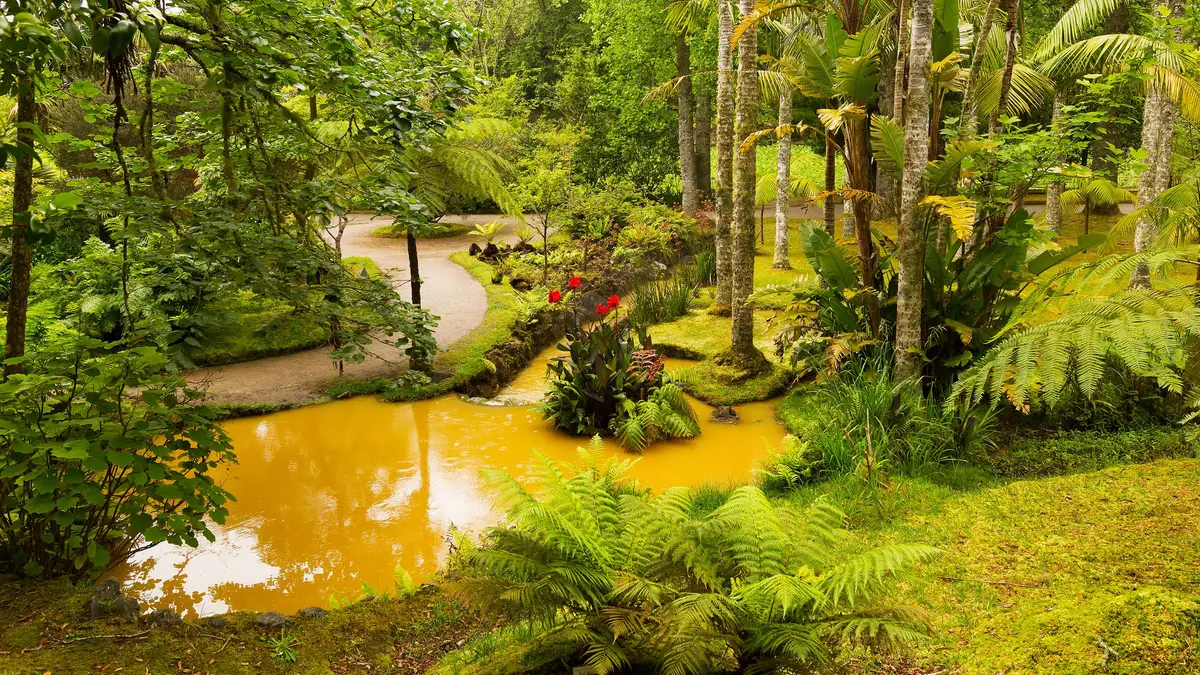 Água Doce: das atividades radicais a um dos mais belos "retiros verdes" da ilha de São Miguel 3 mw 1200