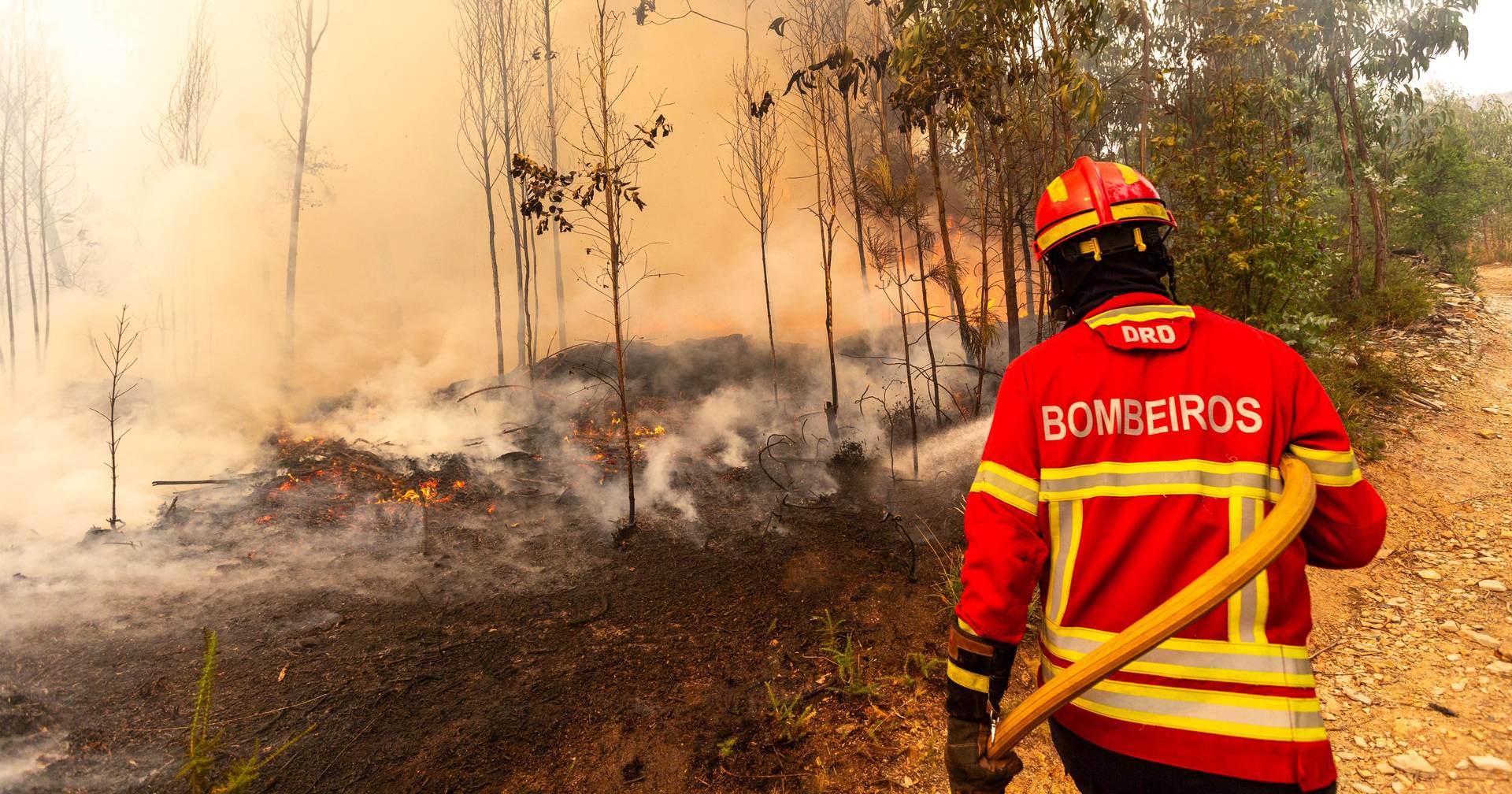 Incêndio de Valpaços destrói casas na aldeia de Gorgoço - SIC Notícias