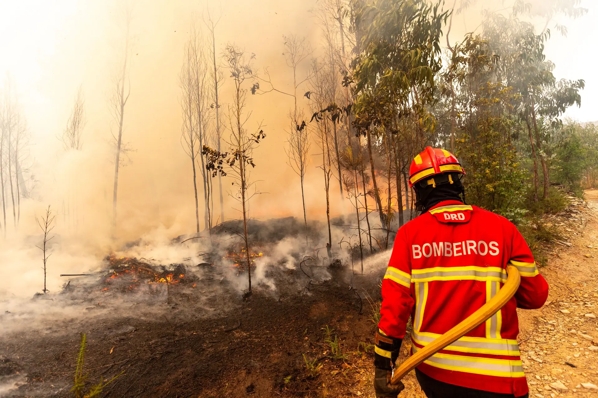 Fogos em Paredes e Ponte de Lima em resolução, Arouca e Ponte da Barca são os mais preocupantes