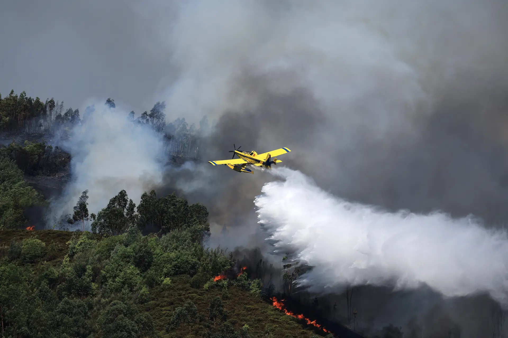 Empresa que opera Canadair diz estar a trabalhar para repor "rapidamente" dois aviões (mas não adianta datas)