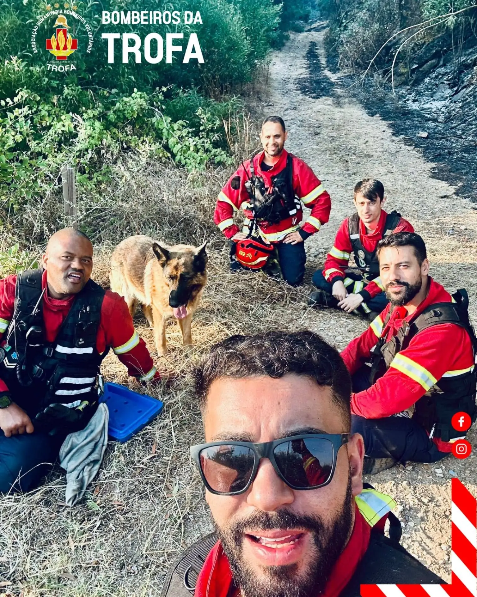 Bombeiros salvam cão cercado por incêndio e animal não os larga nas horas seguintes