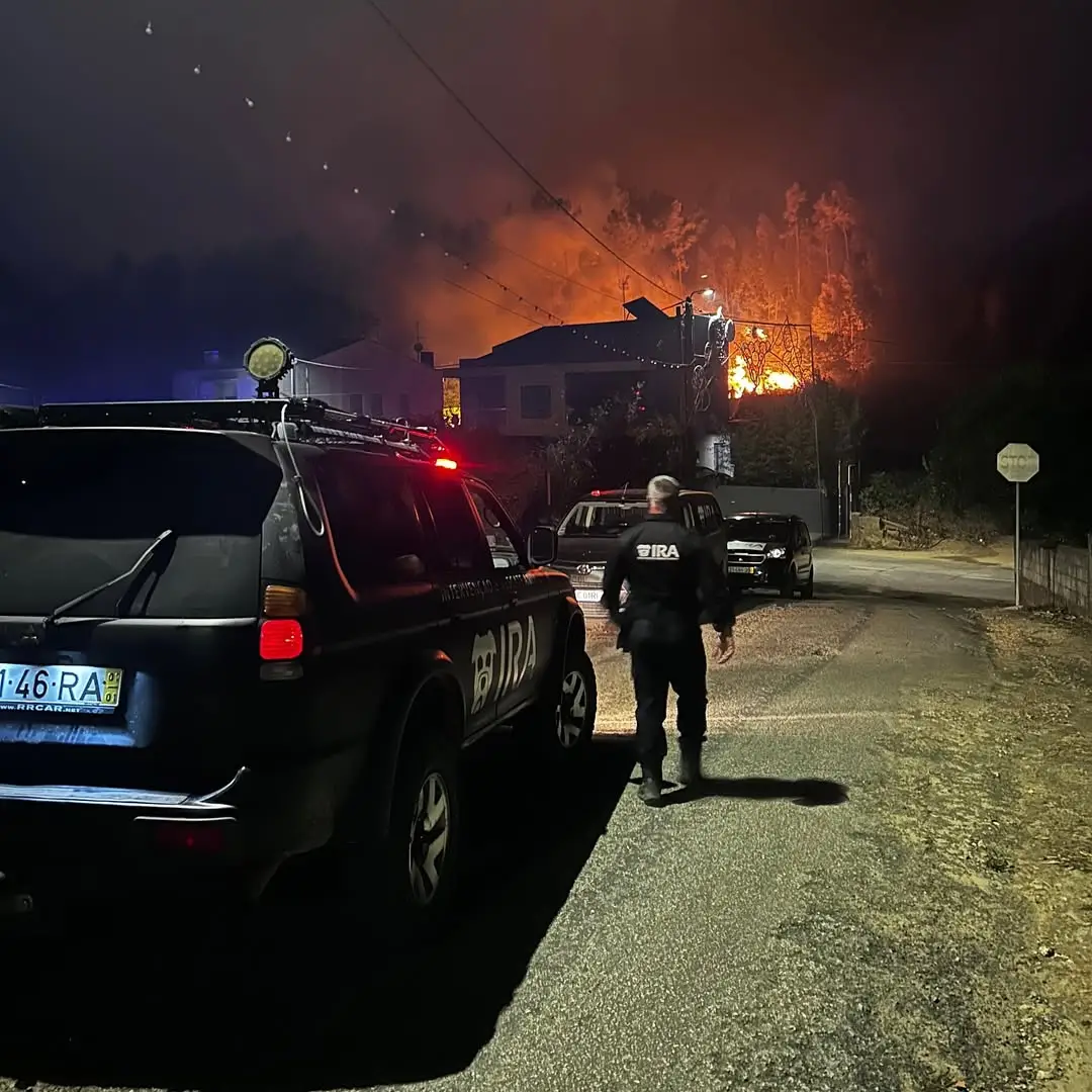 IRA salva centenas de animais dos incêndios em seis dias