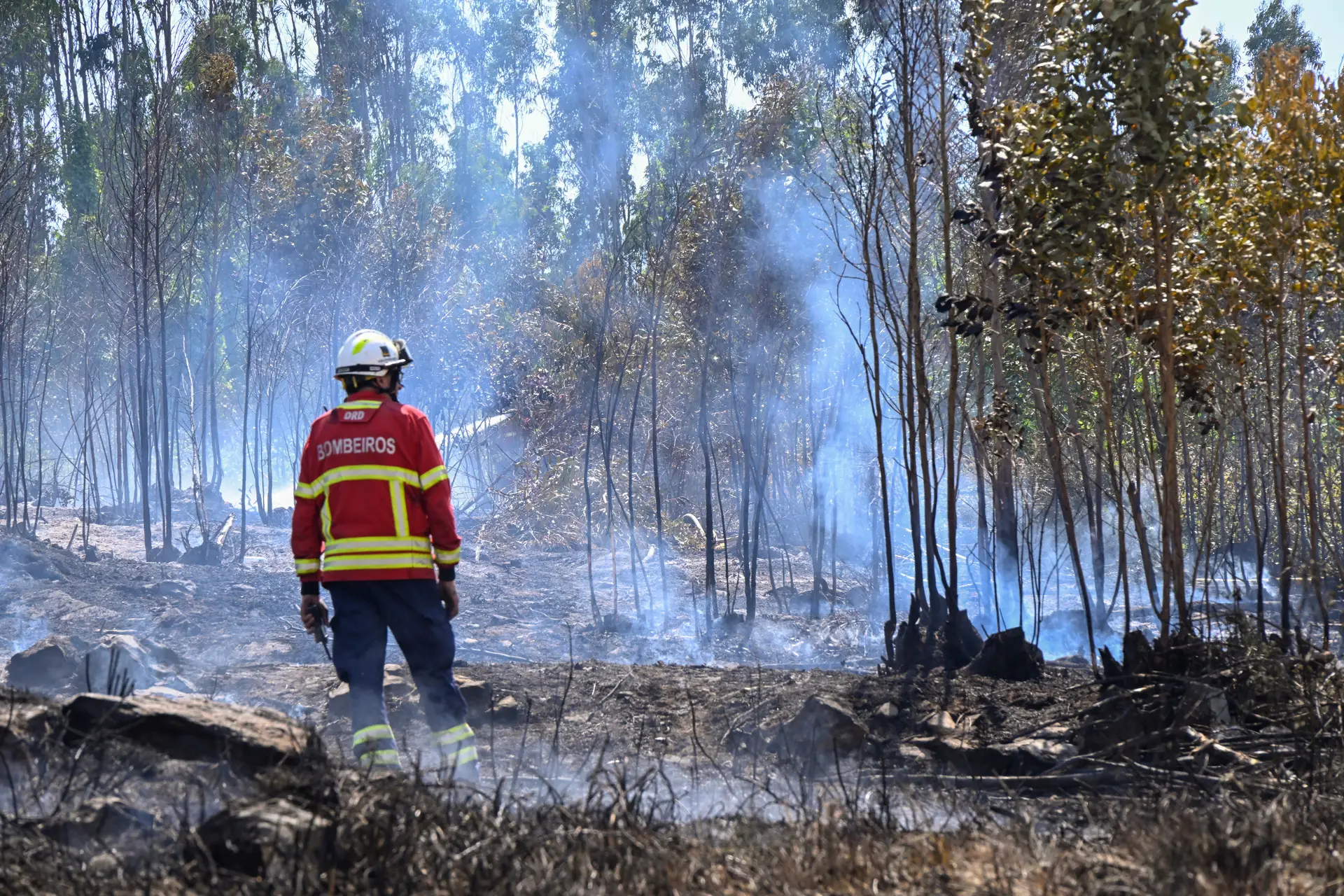 Portugal em situação de alerta: o que muda e o que passa a ser proibido pelo menos até quinta-feira