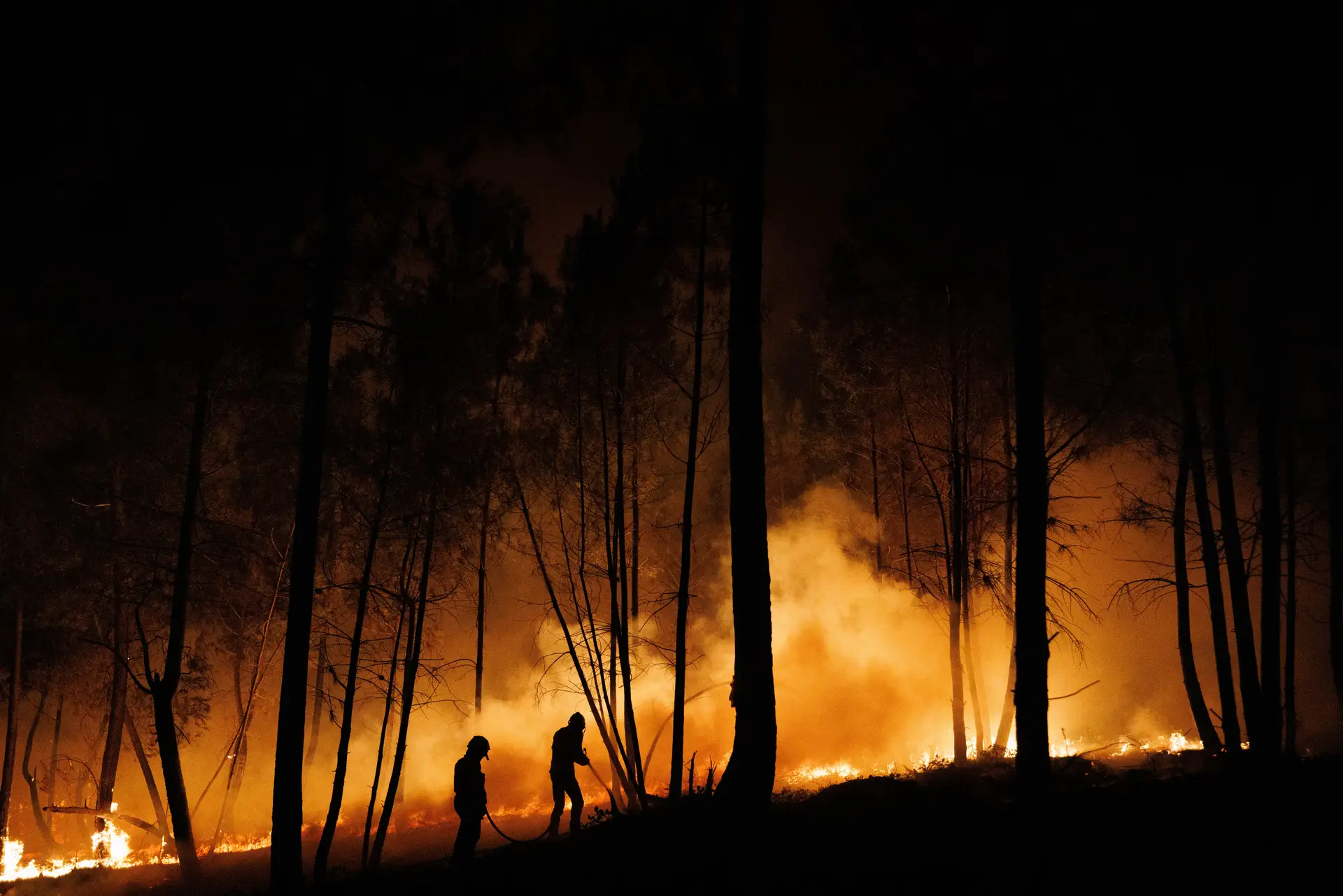 Lar de idosos evacuado por precaução devido a incêndio de Sabrosa
