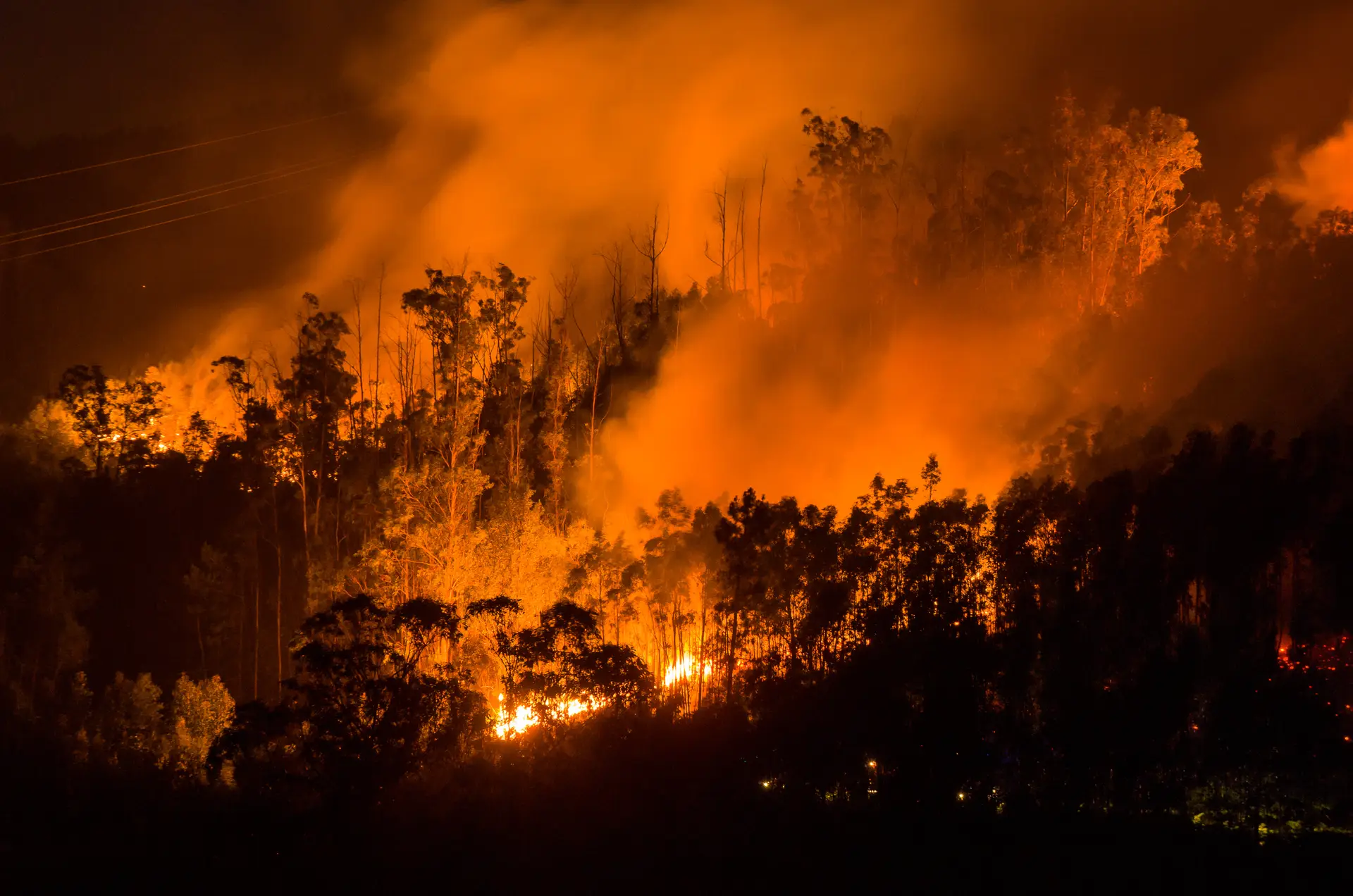 Exército já mobilizou quase três mil militares para o combate aos incêndios