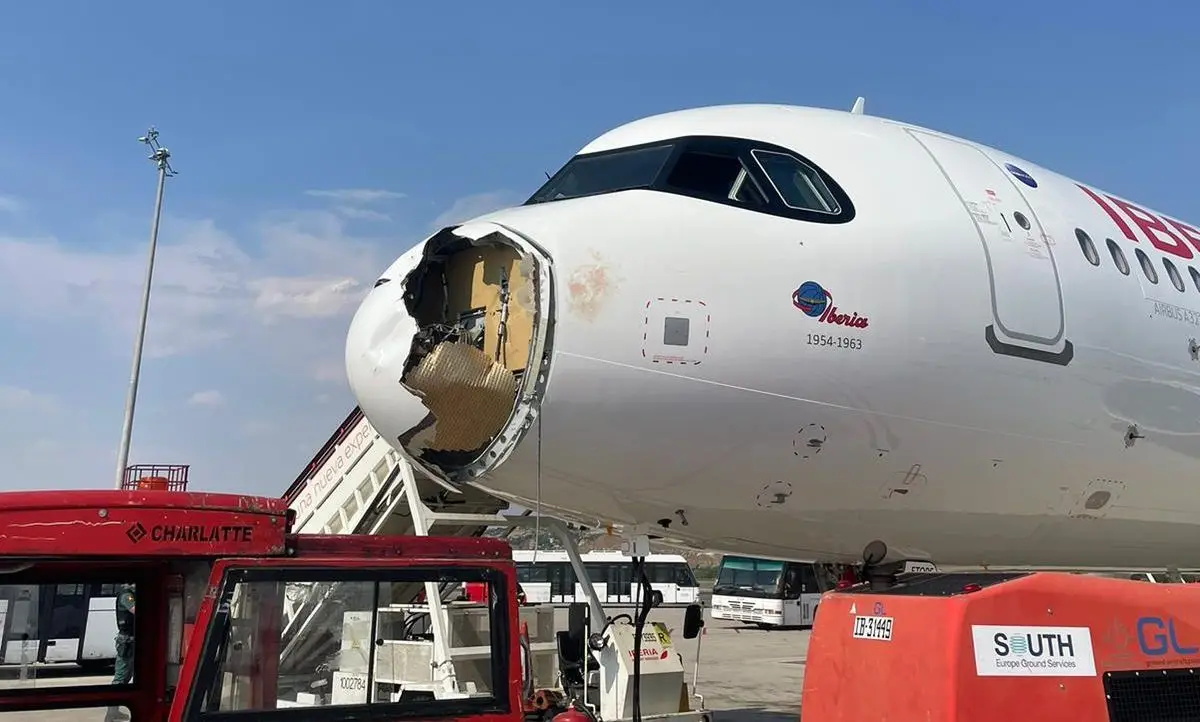 Avião aterra de emergência em Espanha depois de chocar com ave