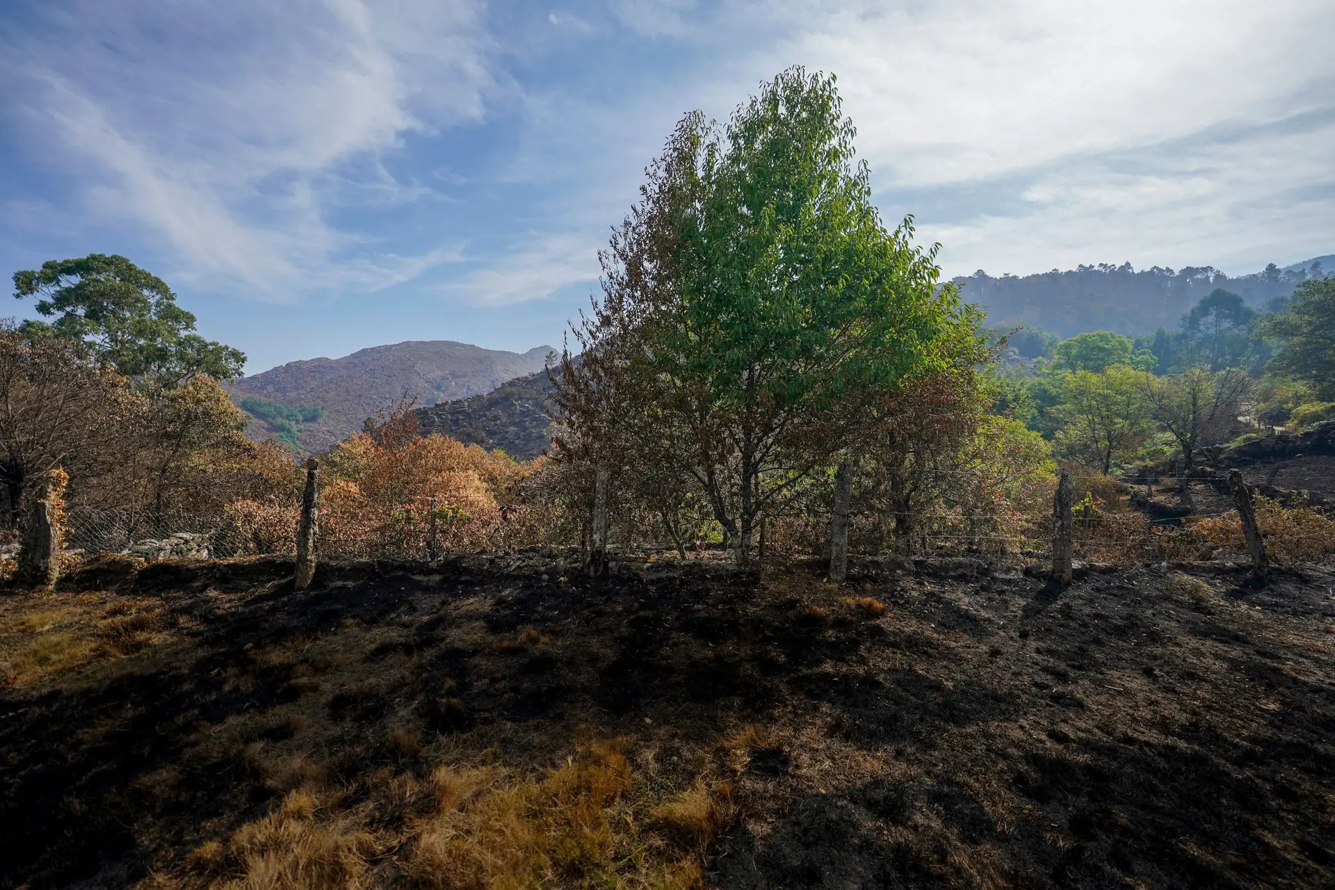 Proteção Civil alerta para risco de inundações nas áreas afetadas pelos incêndios