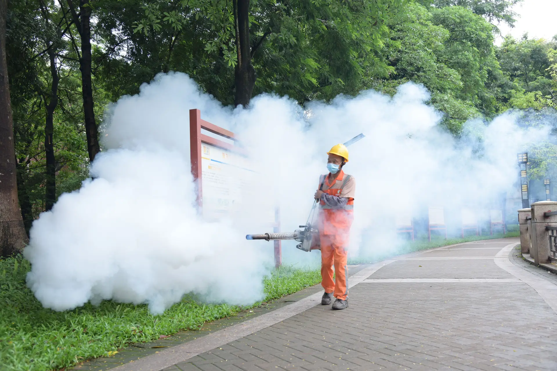 Sondaggio cinese di Chikungunya per implementare rigorose misure preventive