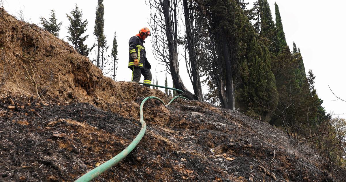 Incêndio em França já consumiu 16 mil hectares e continua descontrolado