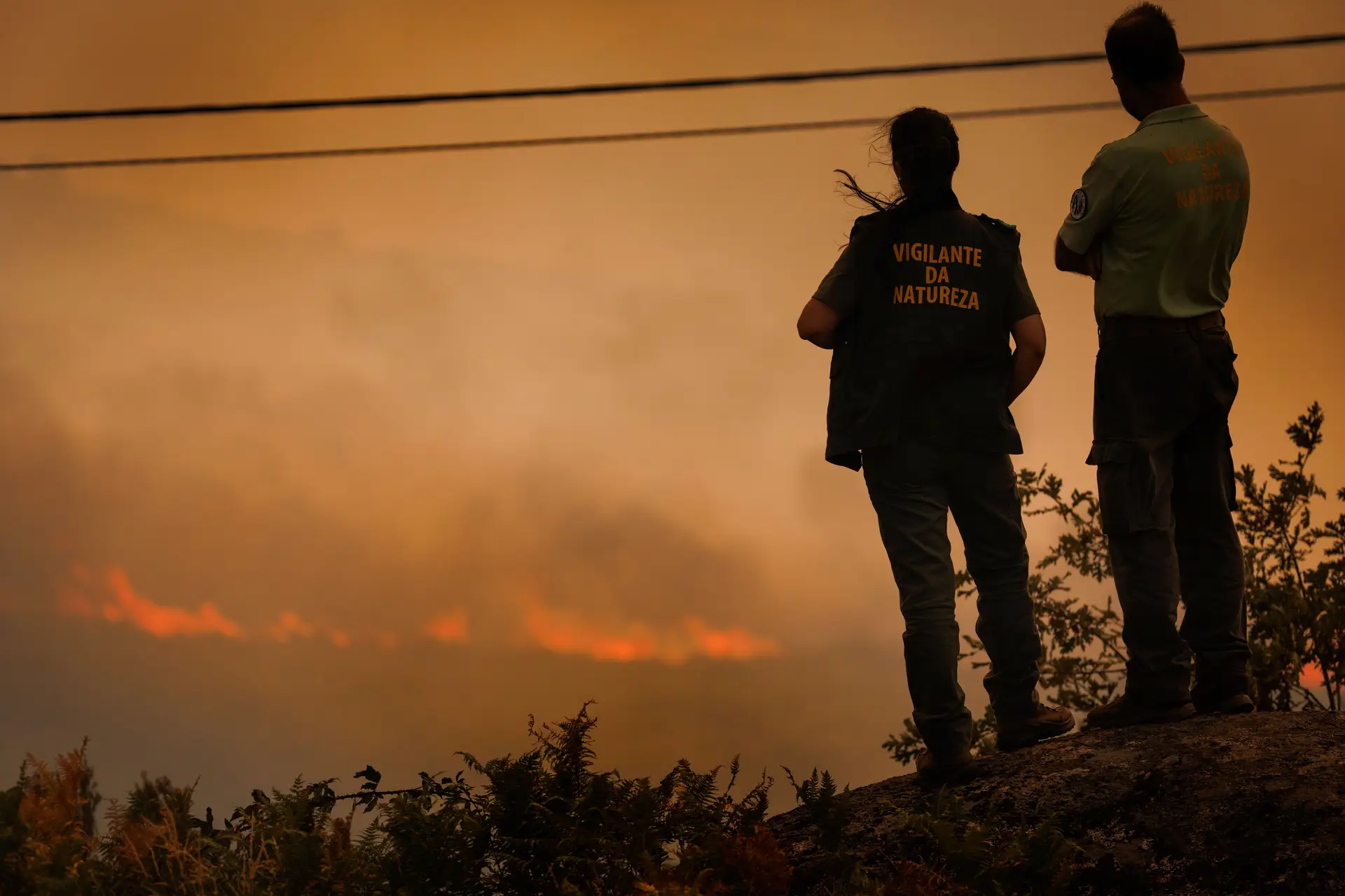 Incêndio destrói casas e deixa rasto de destruição "muito grande" em Aguiar da Beira