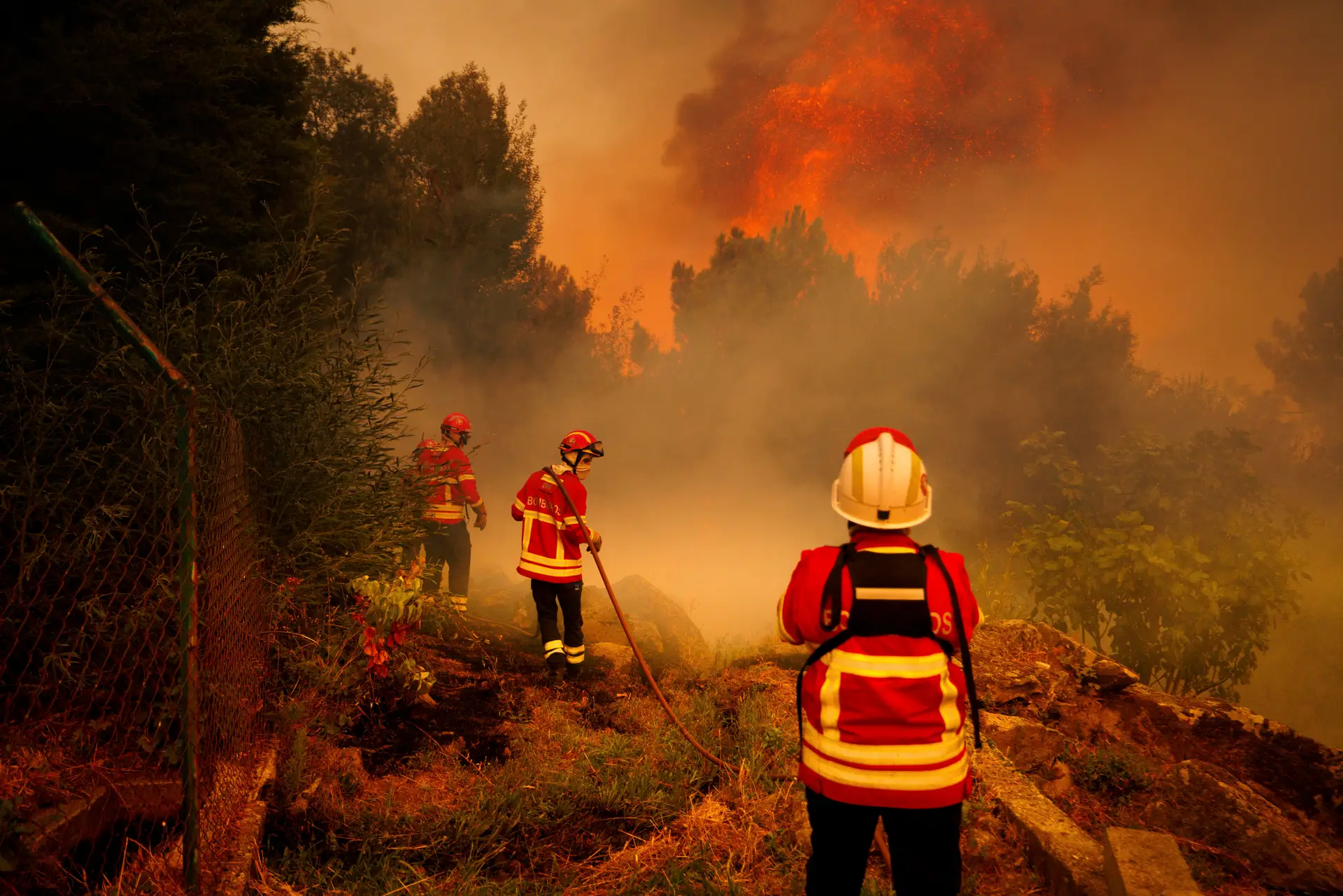 DGS lança guia com recomendações alimentares específicas para os bombeiros