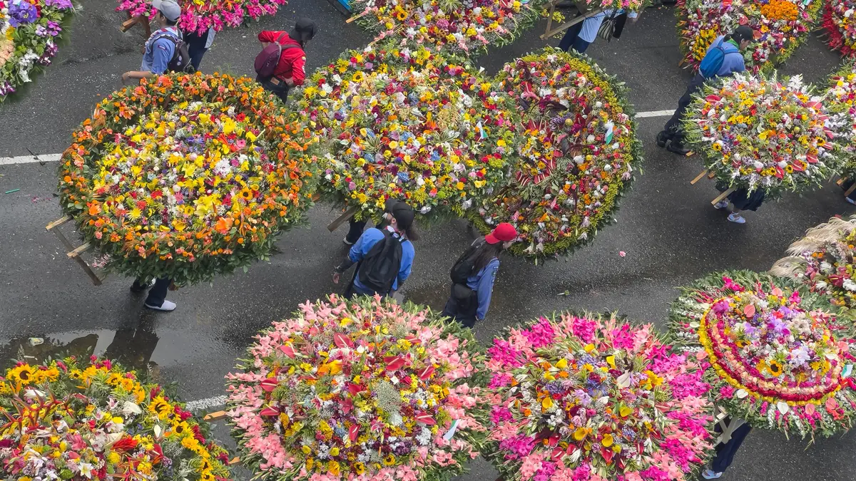 O Desfile dos Silleteros, o principal evento da Feira das Flores de Medellín, celebra a arte floral e o património cultural da região. Mais de 510 silleteros desfilam pela Avenida Regional, transportando às costas elaboradas composições florais que podem pesar até 70 quilos, este domingo, 11 de agosto de 2024, em Medellín, na Colômbia.