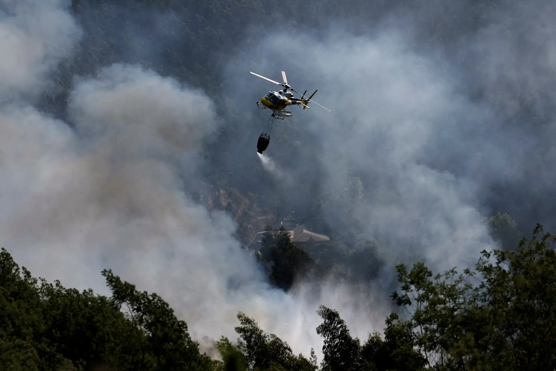 PJ deteve suspeito de atear incêndio em Gondomar