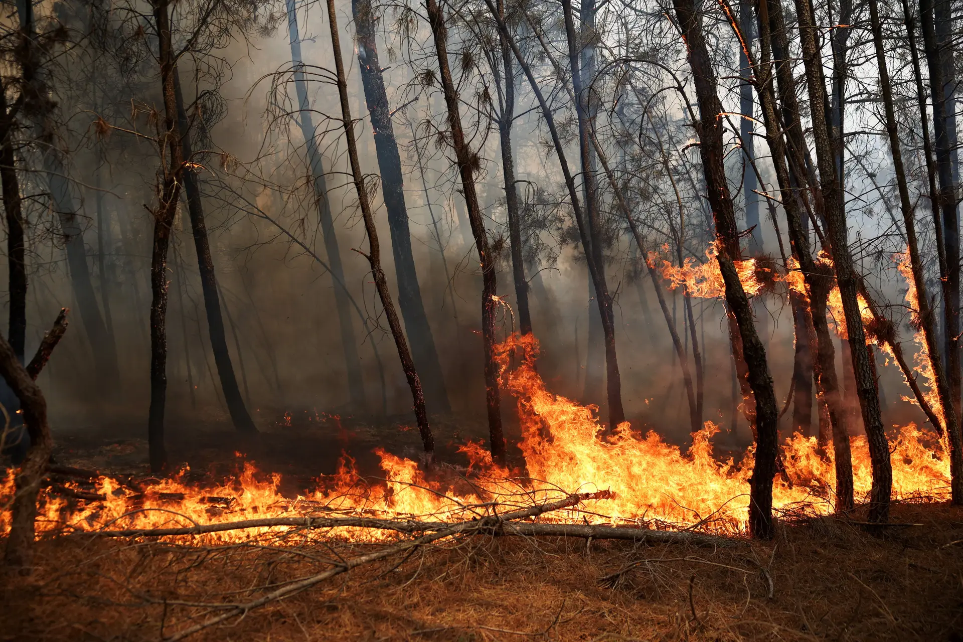 Incêndio em Trancoso
