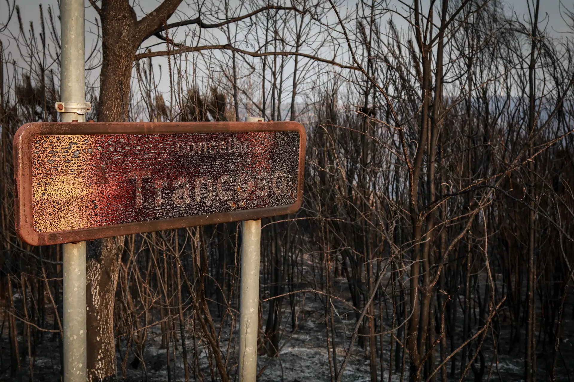 Arderam mais de 11 mil hectares só nas últimas 24 horas