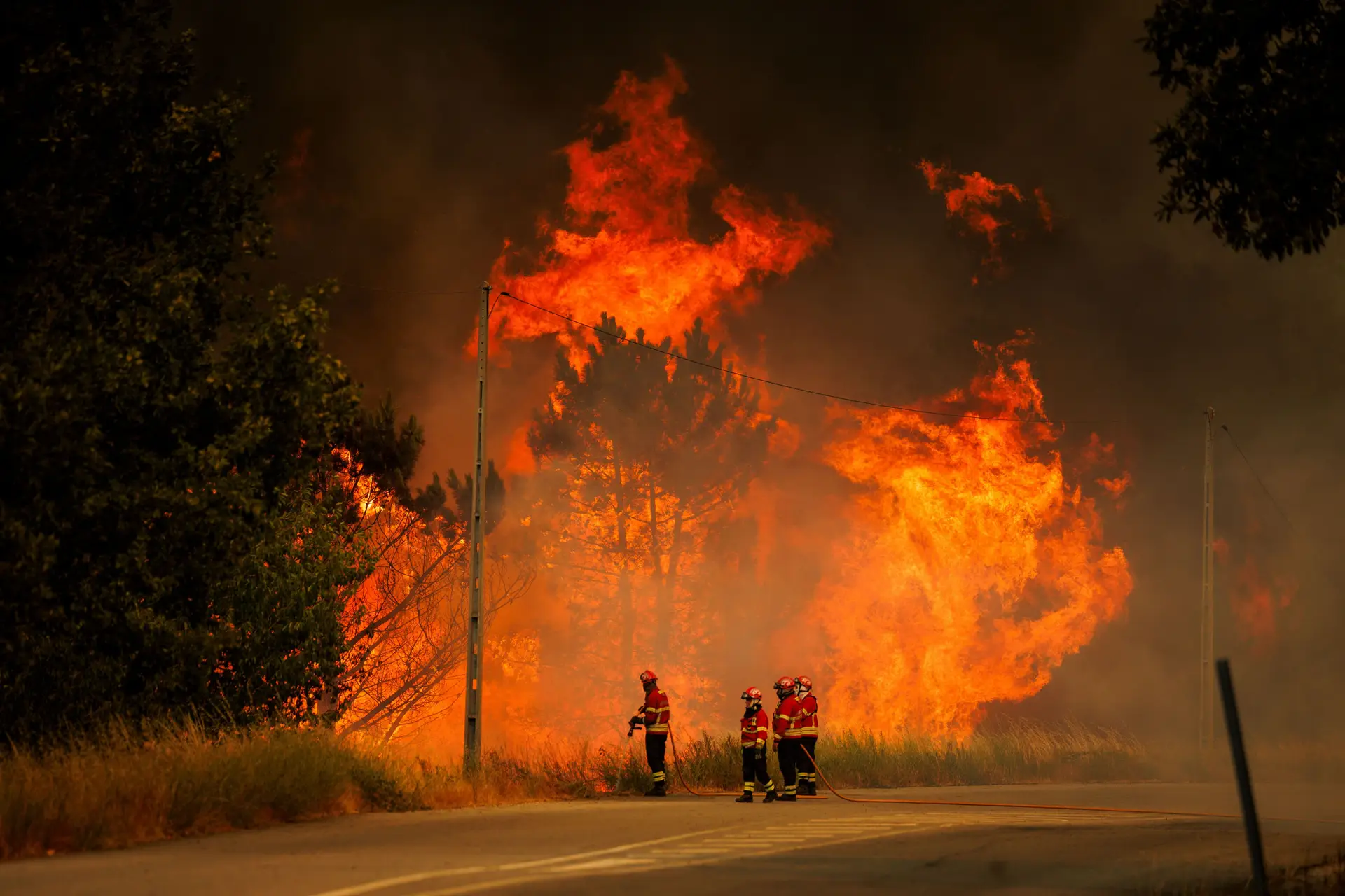 Fogos consumiram este ano 139 mil hectares, quase metade dos quais em apenas dois dias