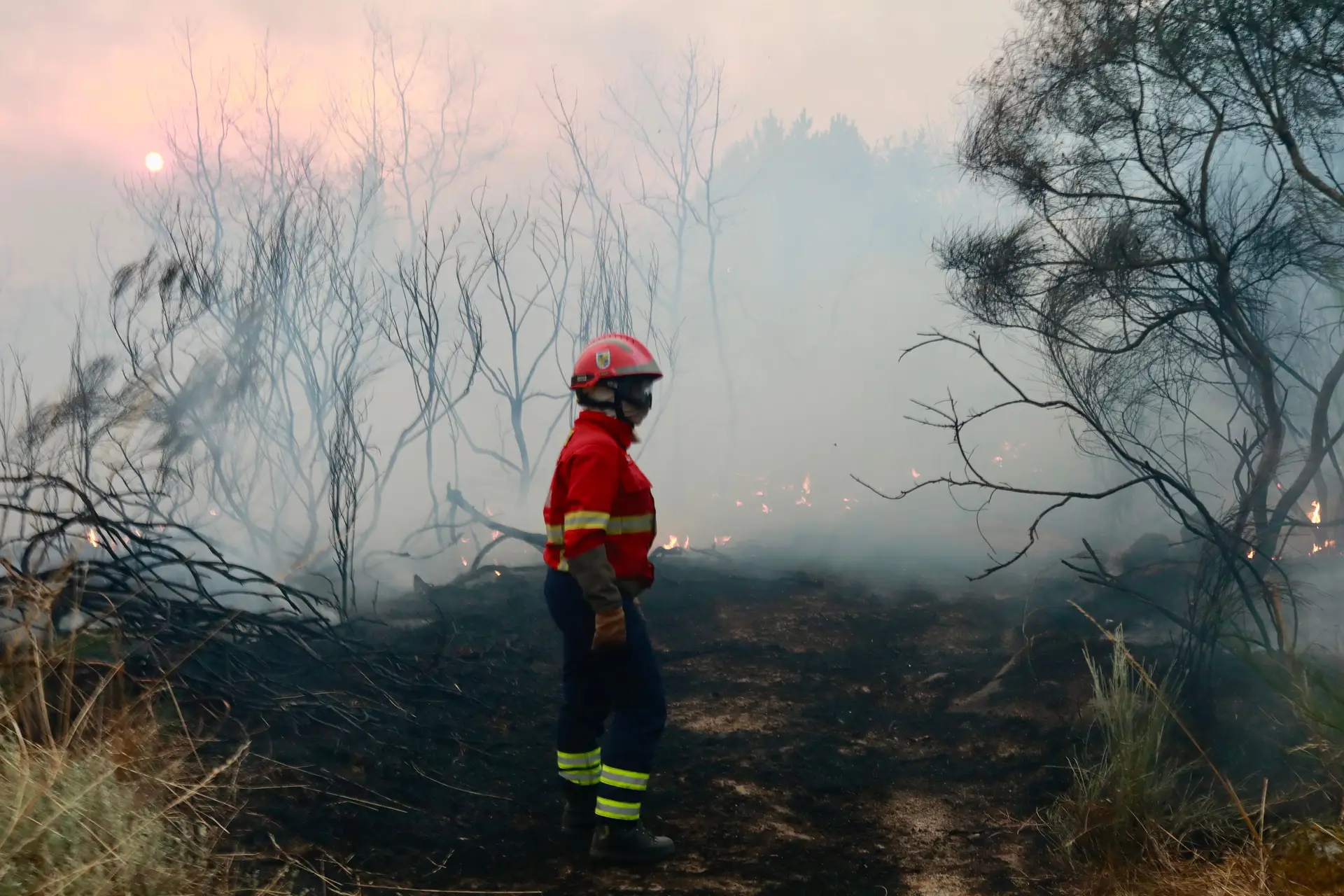 Mais de 50 concelhos em perigo máximo de incêndio
