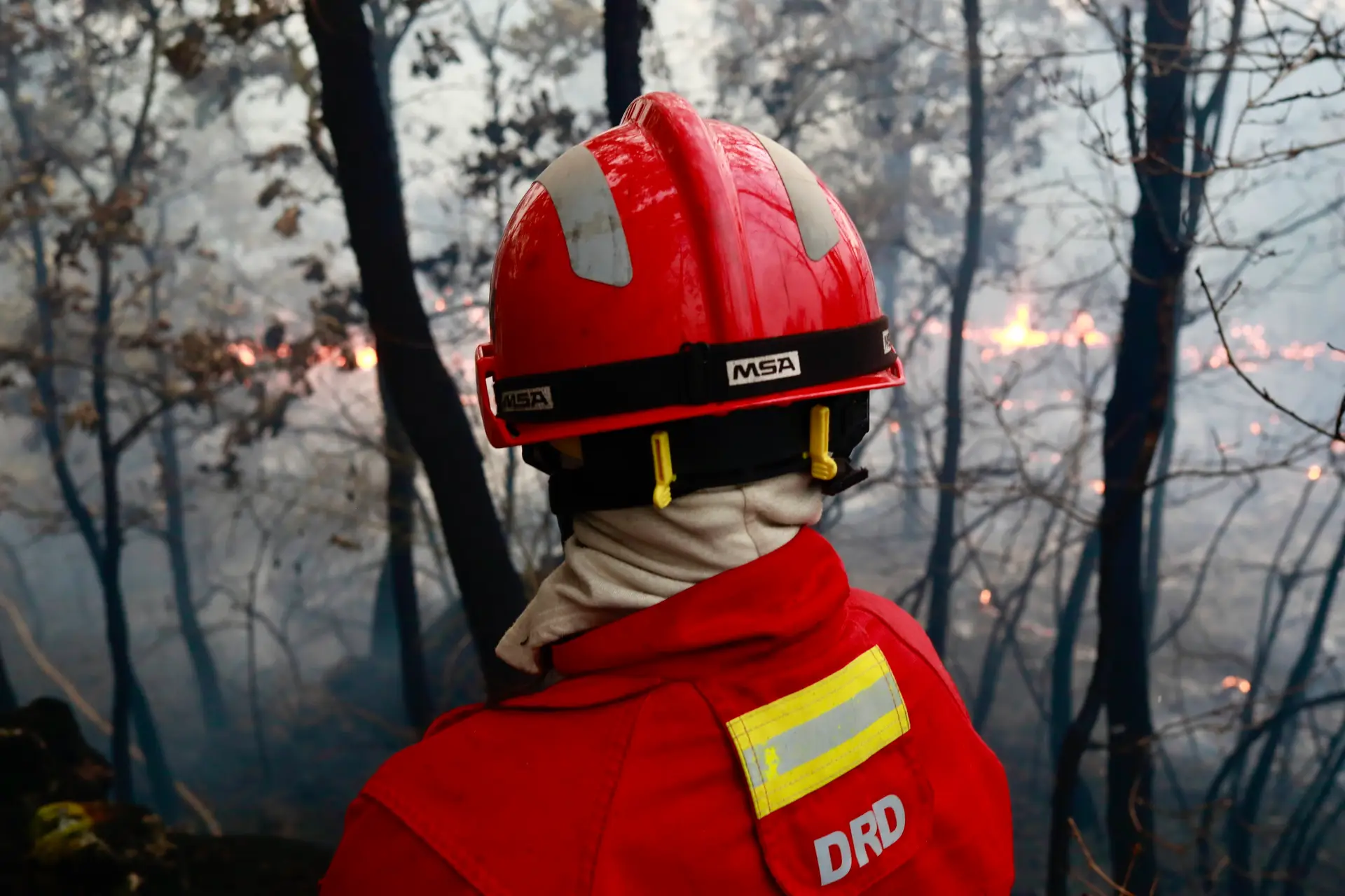 Incêndio no Algarve já fez 11 feridos ligeiros e mantém uma frente ativa