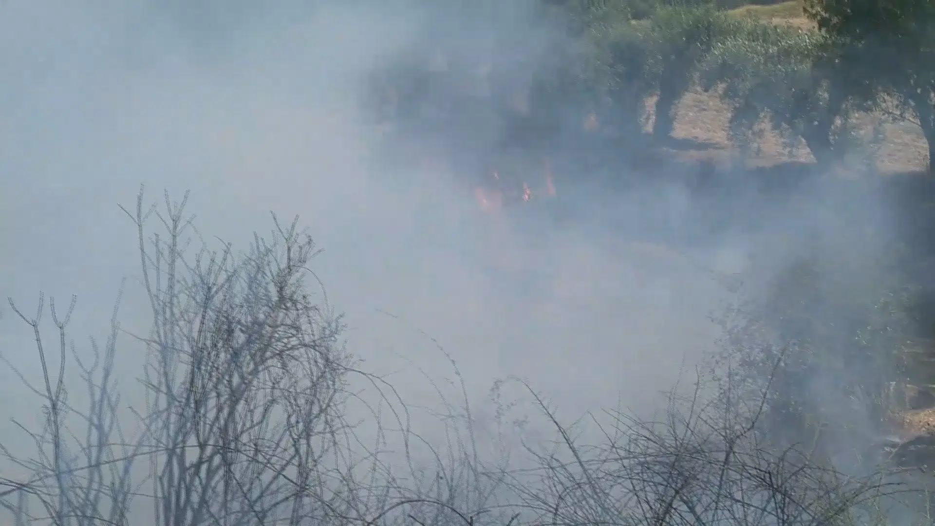 Homem de 74 anos detido na Mêda por fogo florestal fica em prisão preventiva