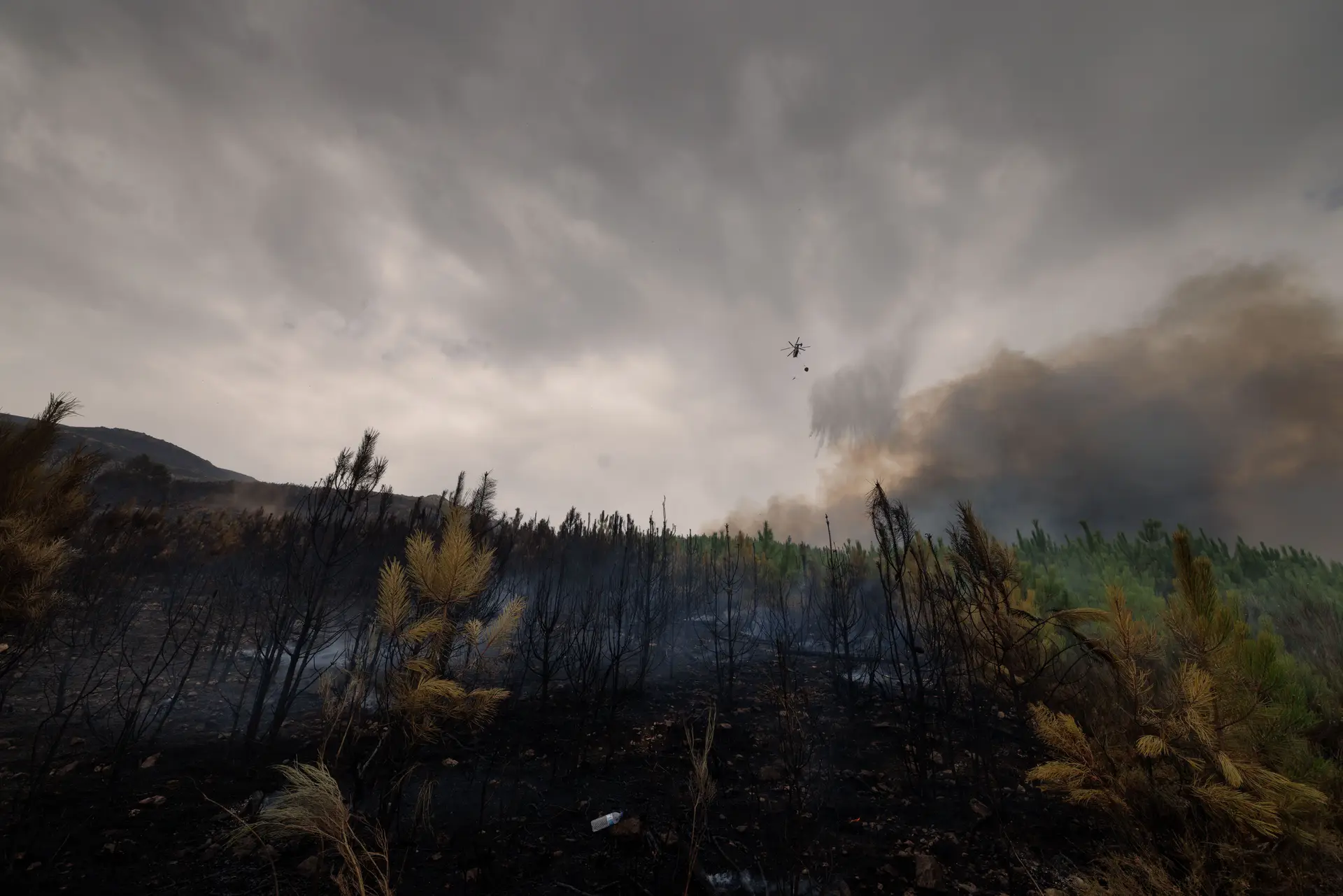 Fumo dos incêndios em Portugal e Espanha já chegou ao Reino Unido