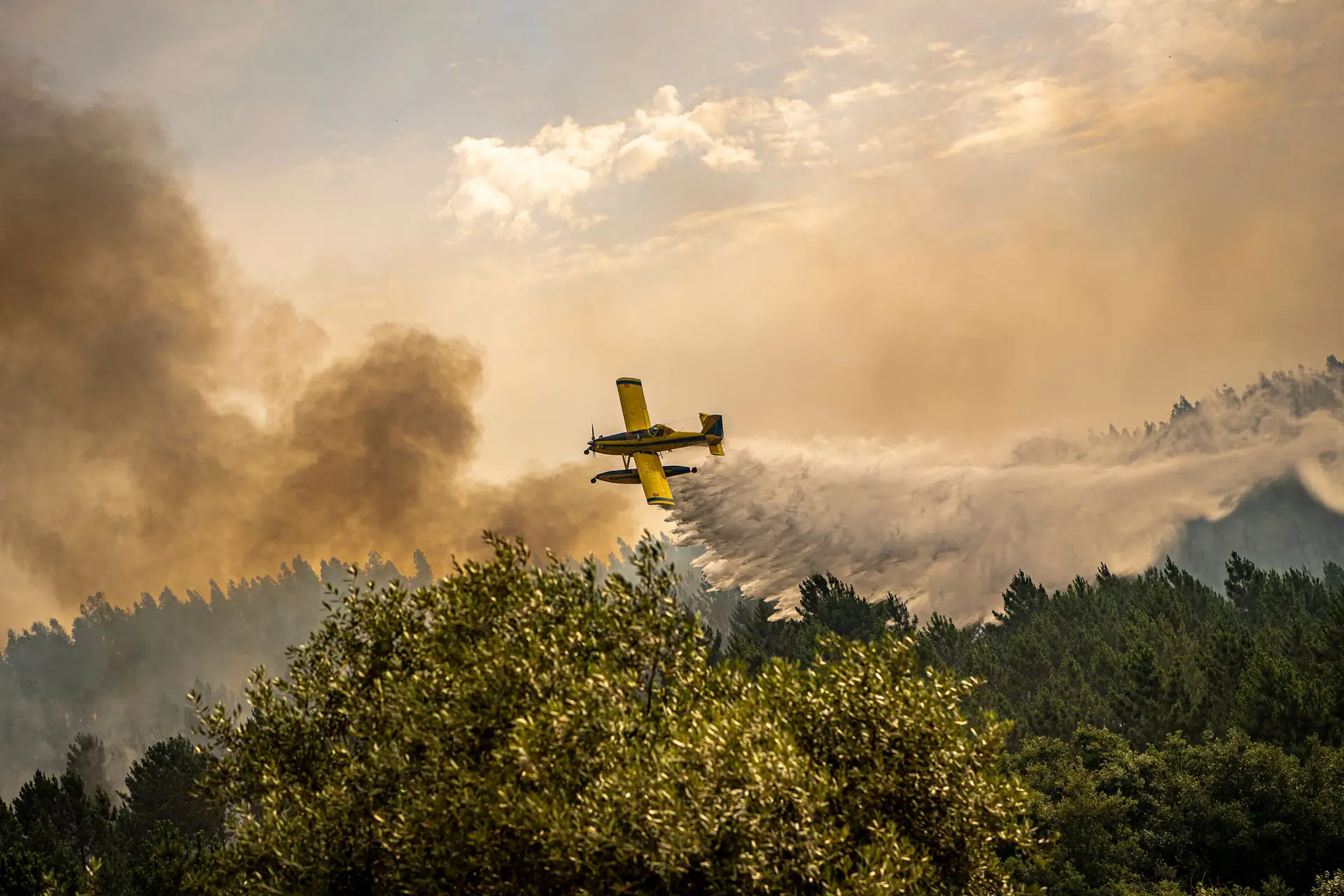 Aviões suecos de combate aos incêndios atuaram durante todo o dia no Sabugal