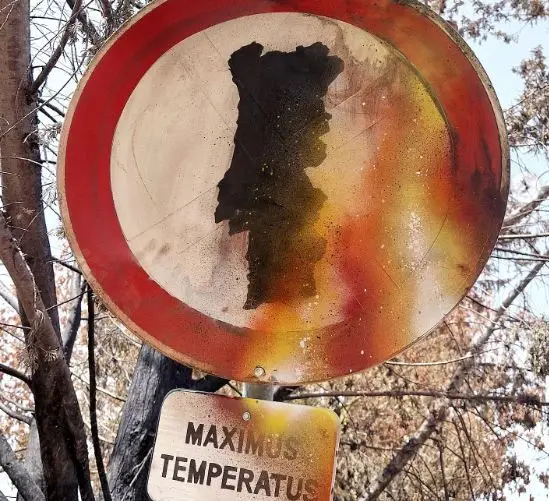 "Maximus temperatus": Bordalo II critica atuação do Governo no combate aos incêndios 