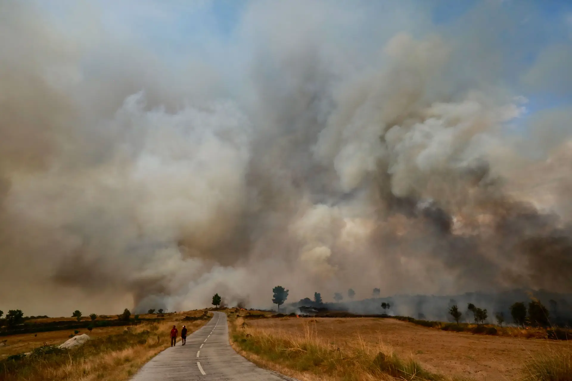 Ferido no incêndio do Sabugal ficou com 75% do corpo queimado