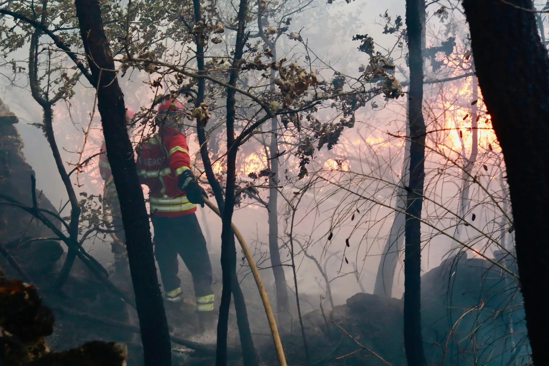 Autarca de Torre de Moncorvo critica Governo por ausência de convite para reunião sobre fogos